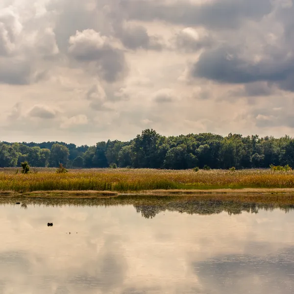 Discover Delaware: Bombay Hook National Wildlife Refuge