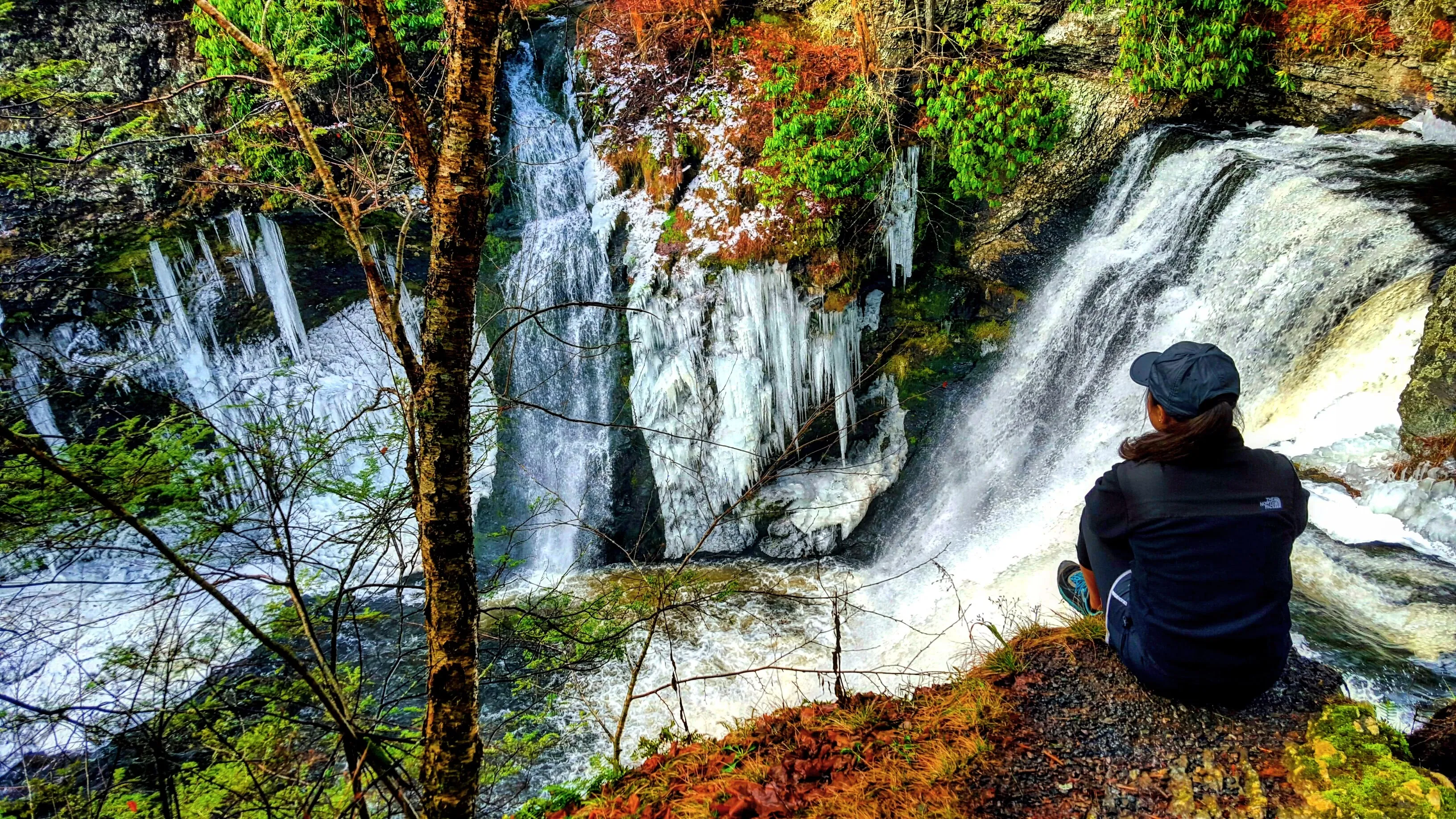 Raymondskill Falls