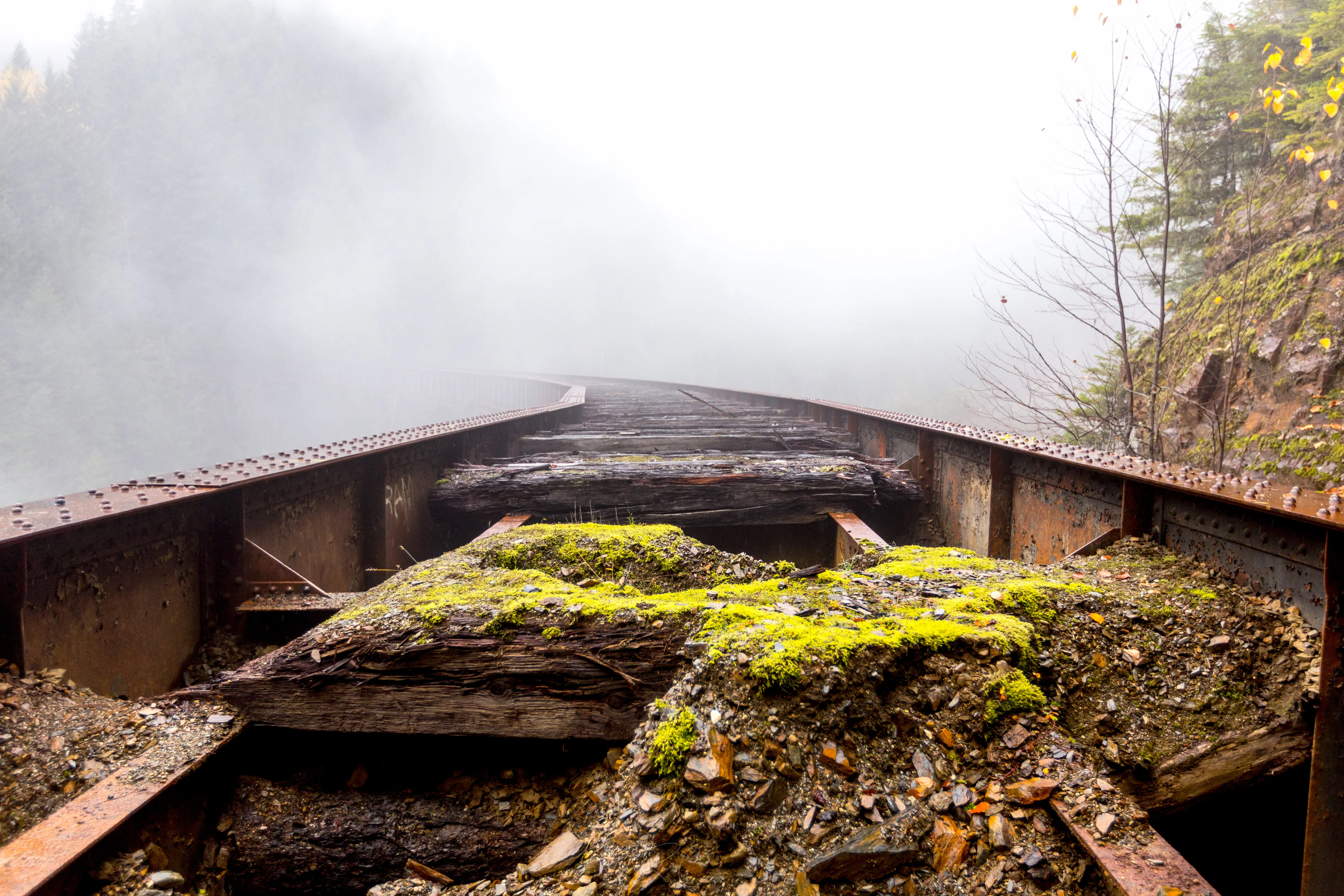 Explore the Ladner Creek Trestle