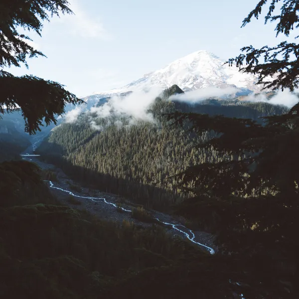 14 Photos from Our Adventure to Mount Rainier National Park