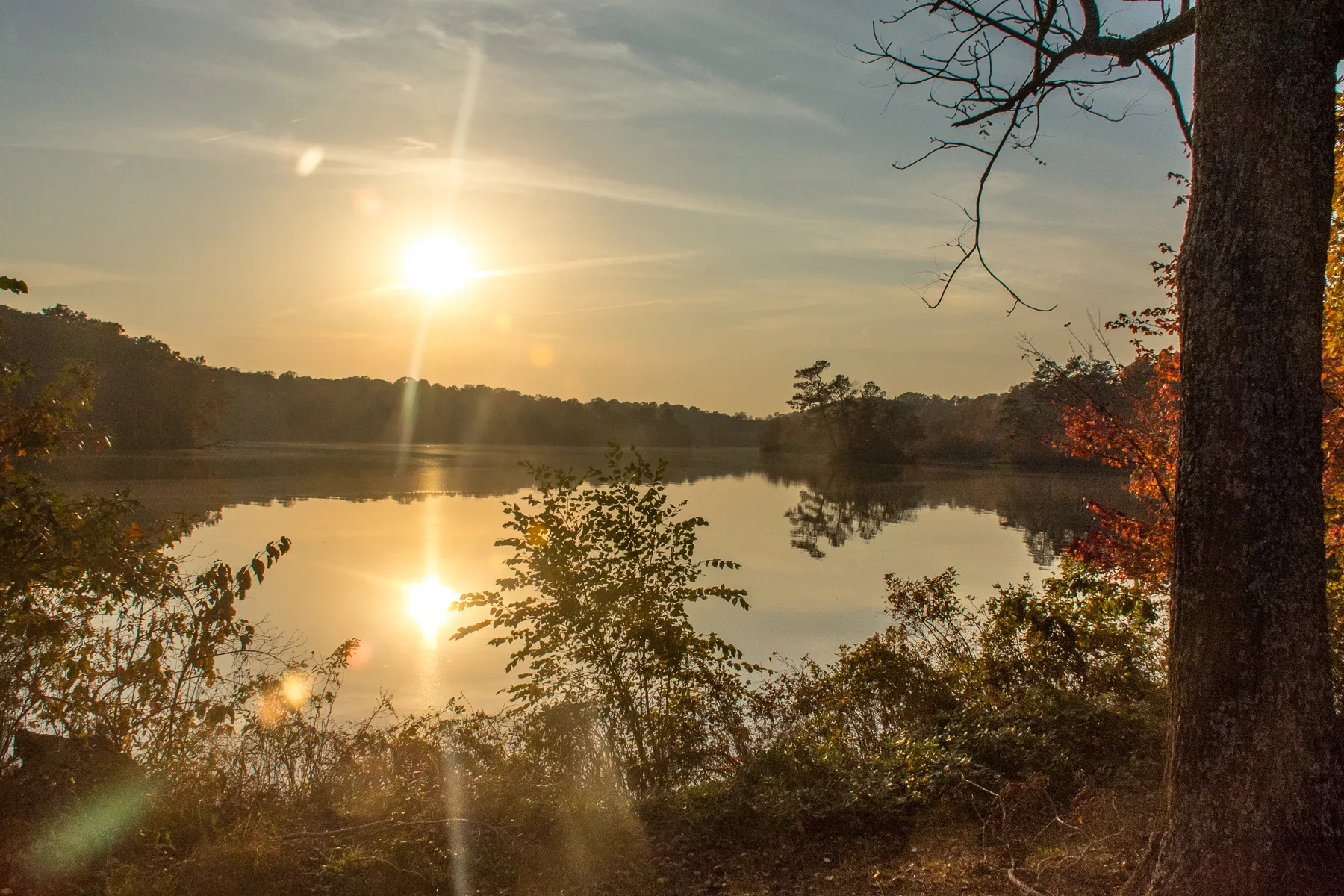 Hike the Pondside Trail, Killens Pond SP