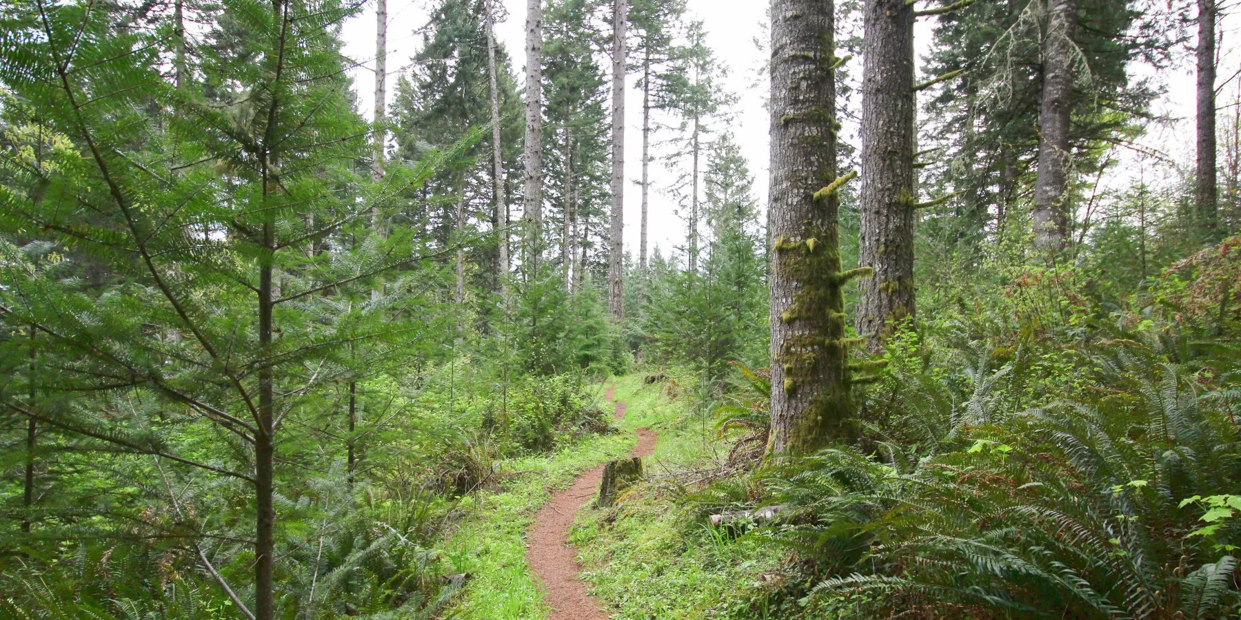 Red Trail (Outer Loop)