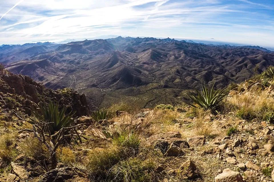 Picketpost Mountain Trail