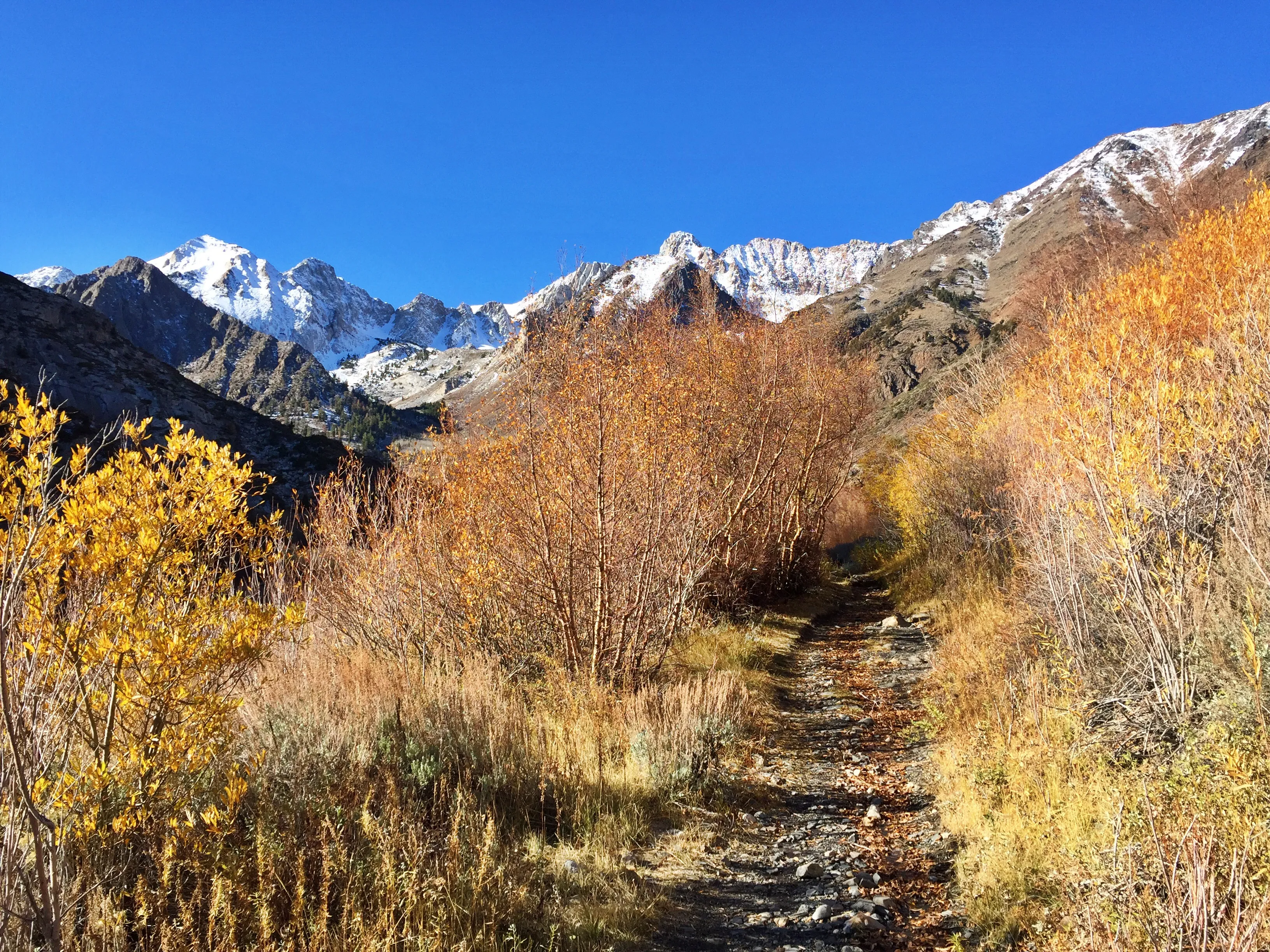 Steelhead Lake via McGee Creek