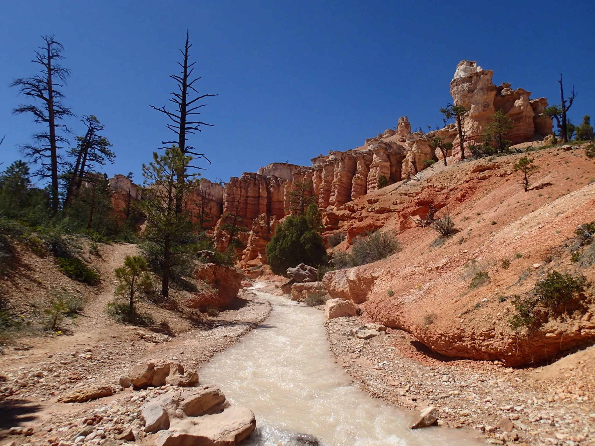 Hike the Tropic Ditch Trail