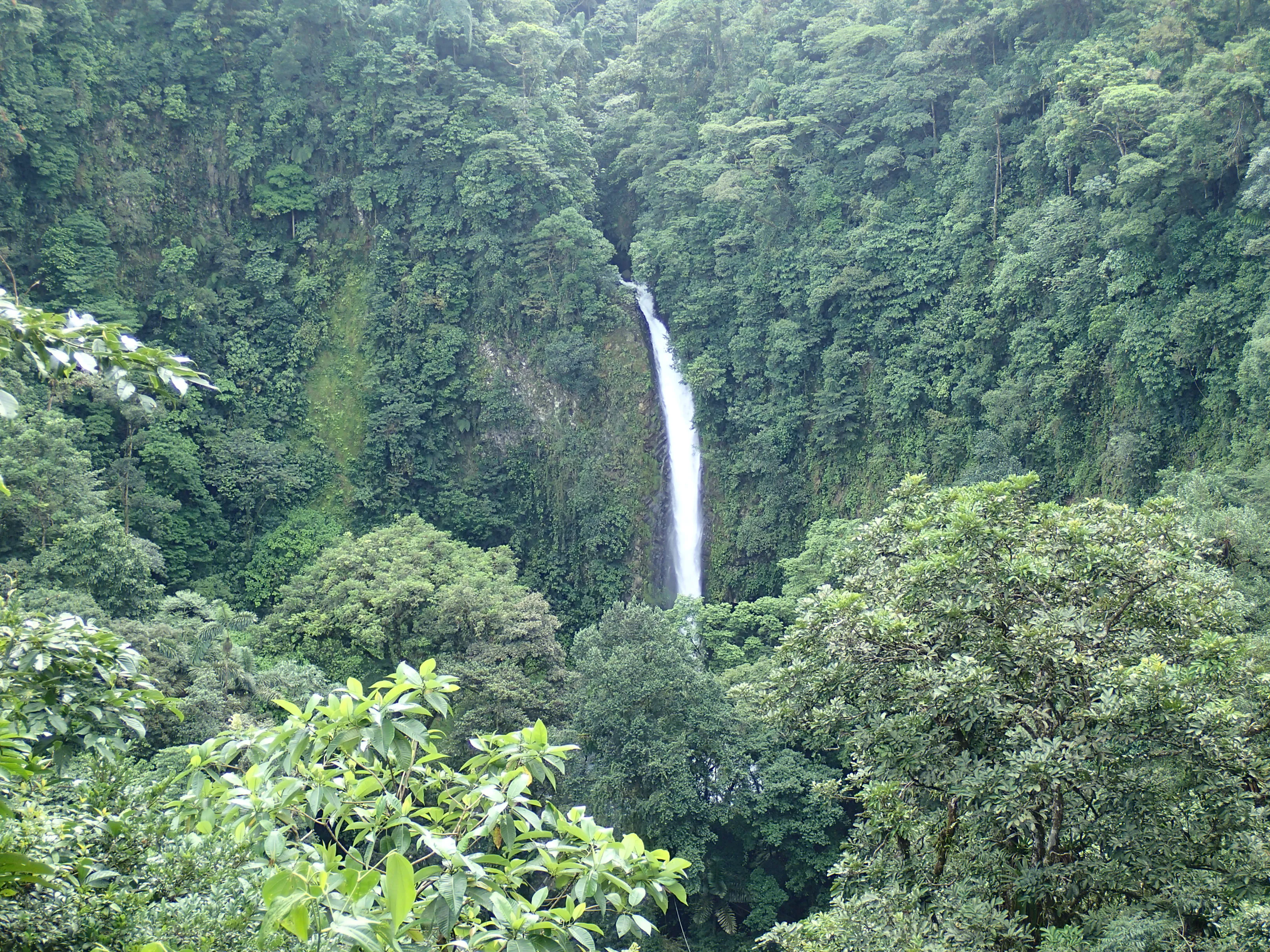 Hike to La Fortuna Falls