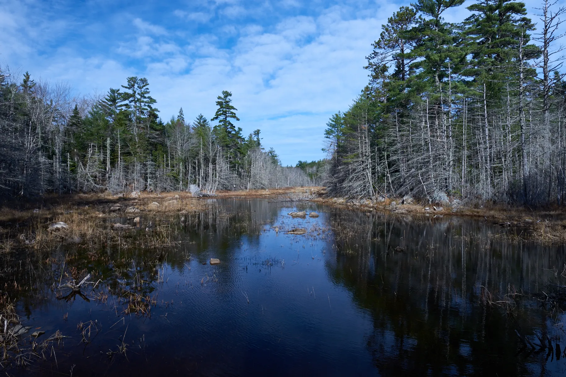 Hike to Cranberry Lake in Moosehorn NWR