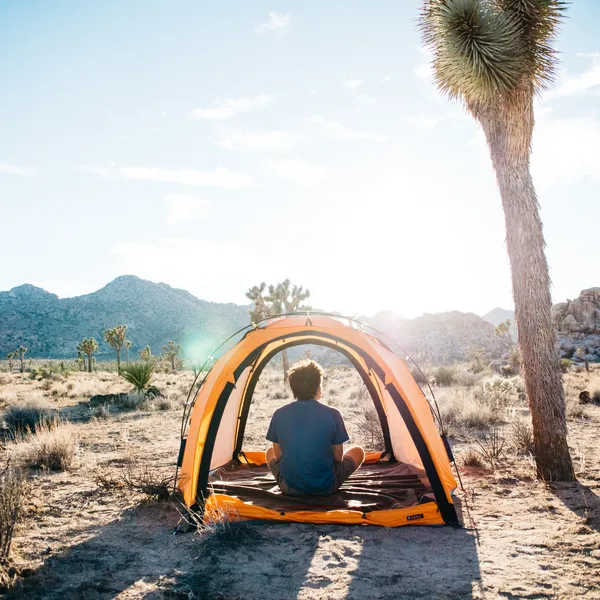 How to Camp in Joshua Tree National Park for Free