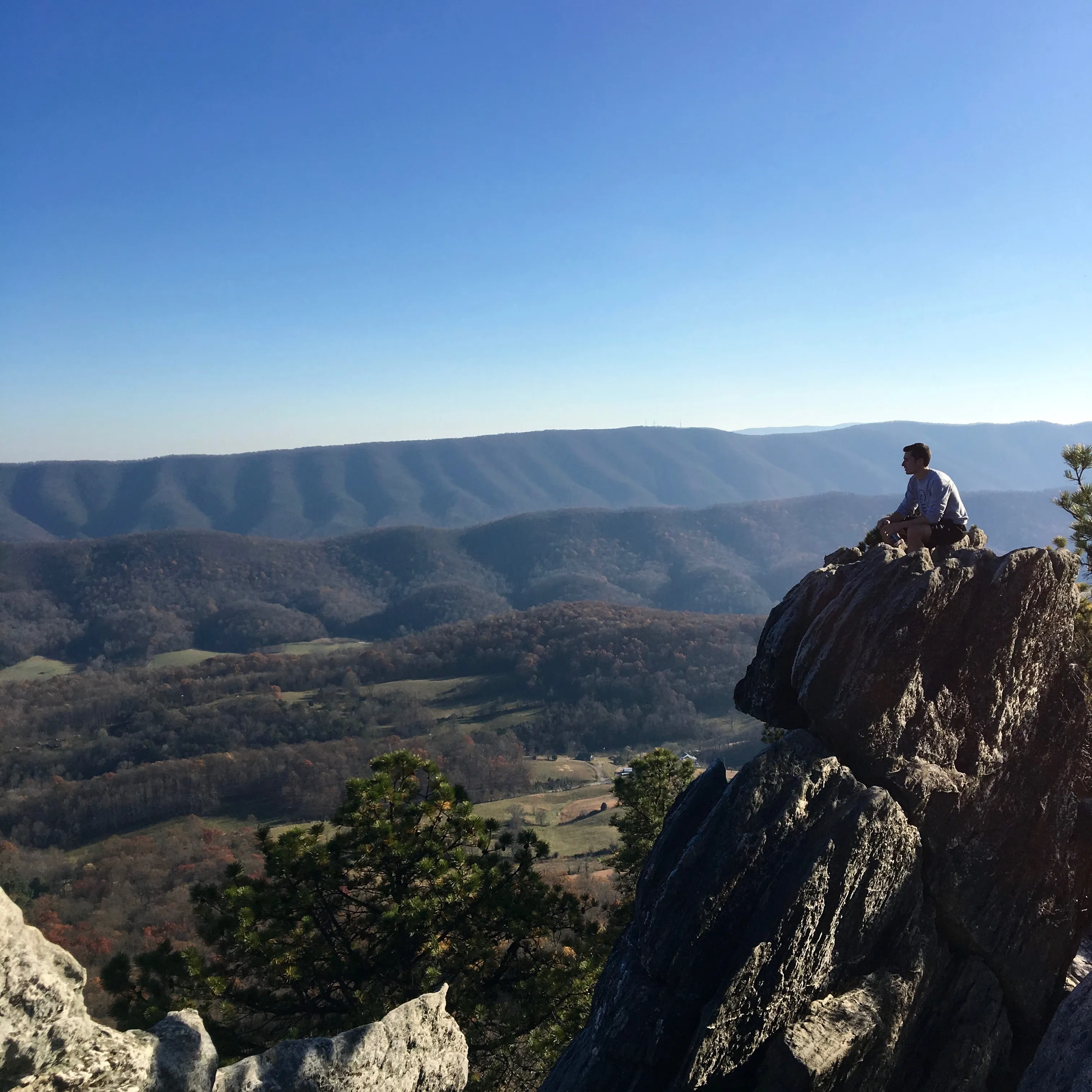 Virginia Triple Crown