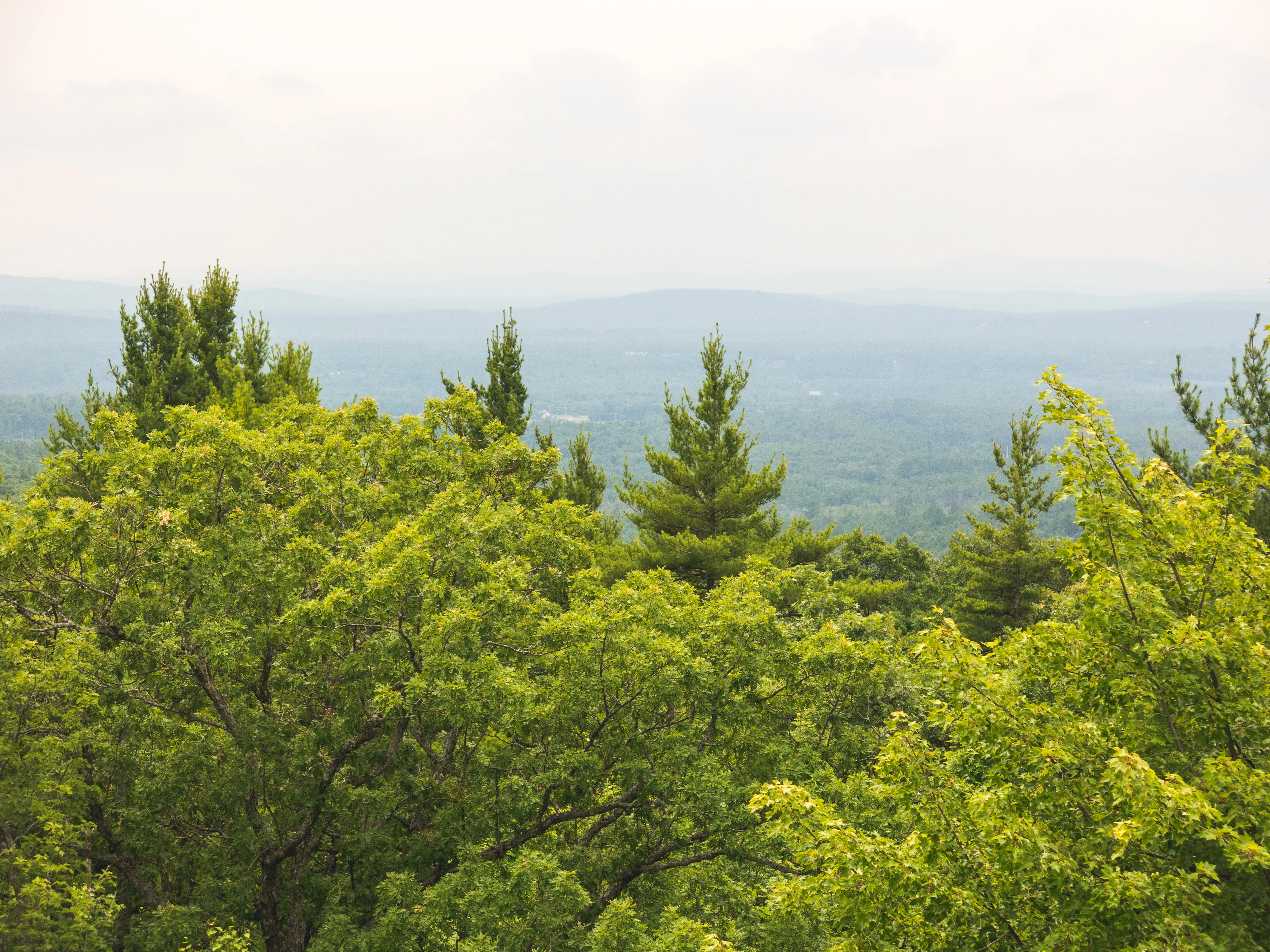 Oak Hill Fire Tower