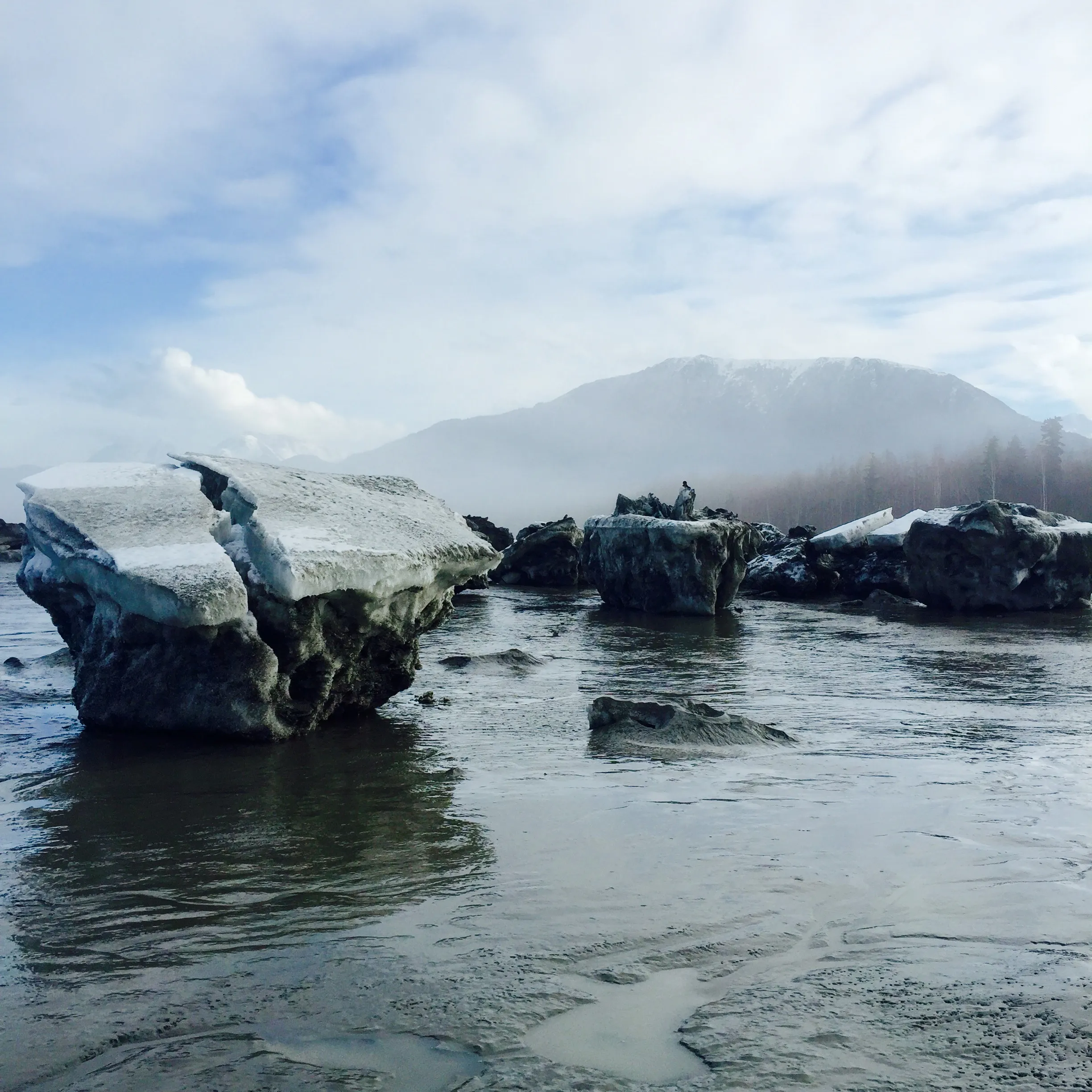 Explore the Knik Arm's Ice Fields