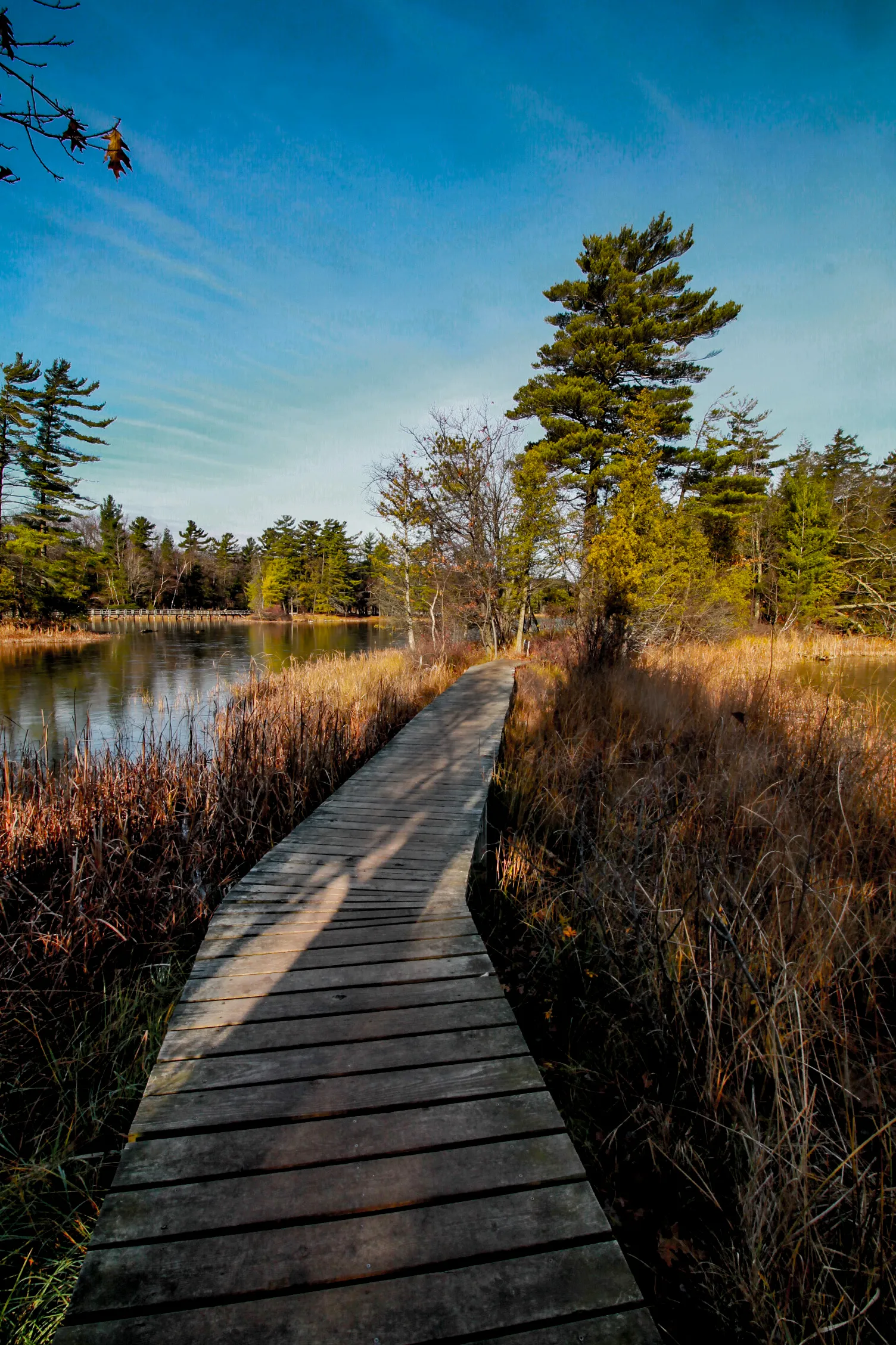 Hike Island Trail