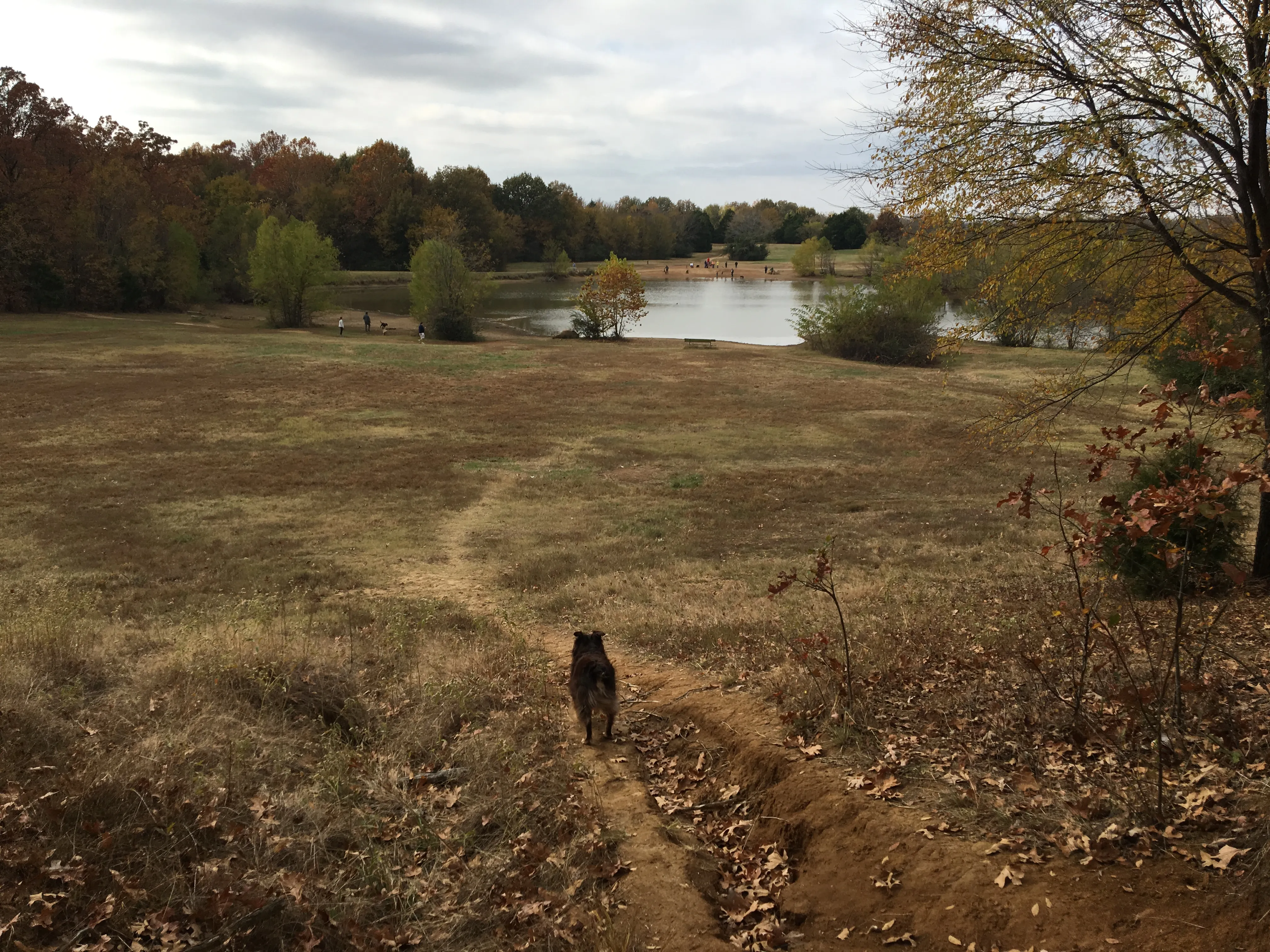 Hike at The Outback at Shelby Farms Park Conservancy