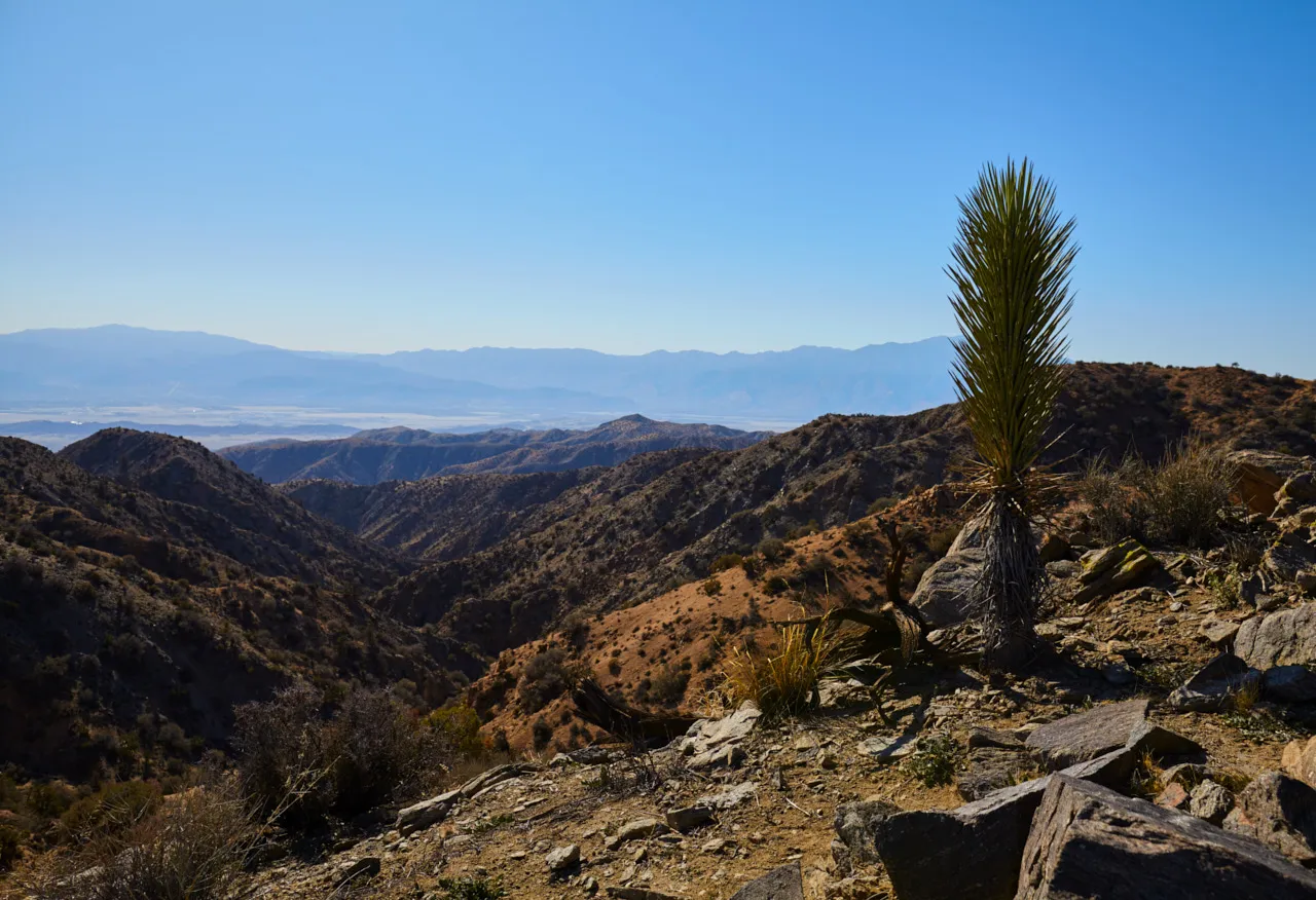 Covington Crest Trail