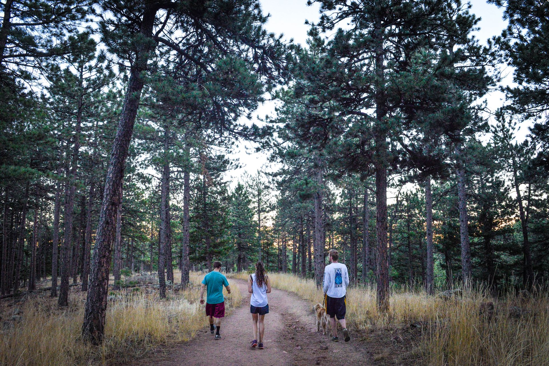Shanahan Ridge Trail, Boulder, Colorado | The Outbound