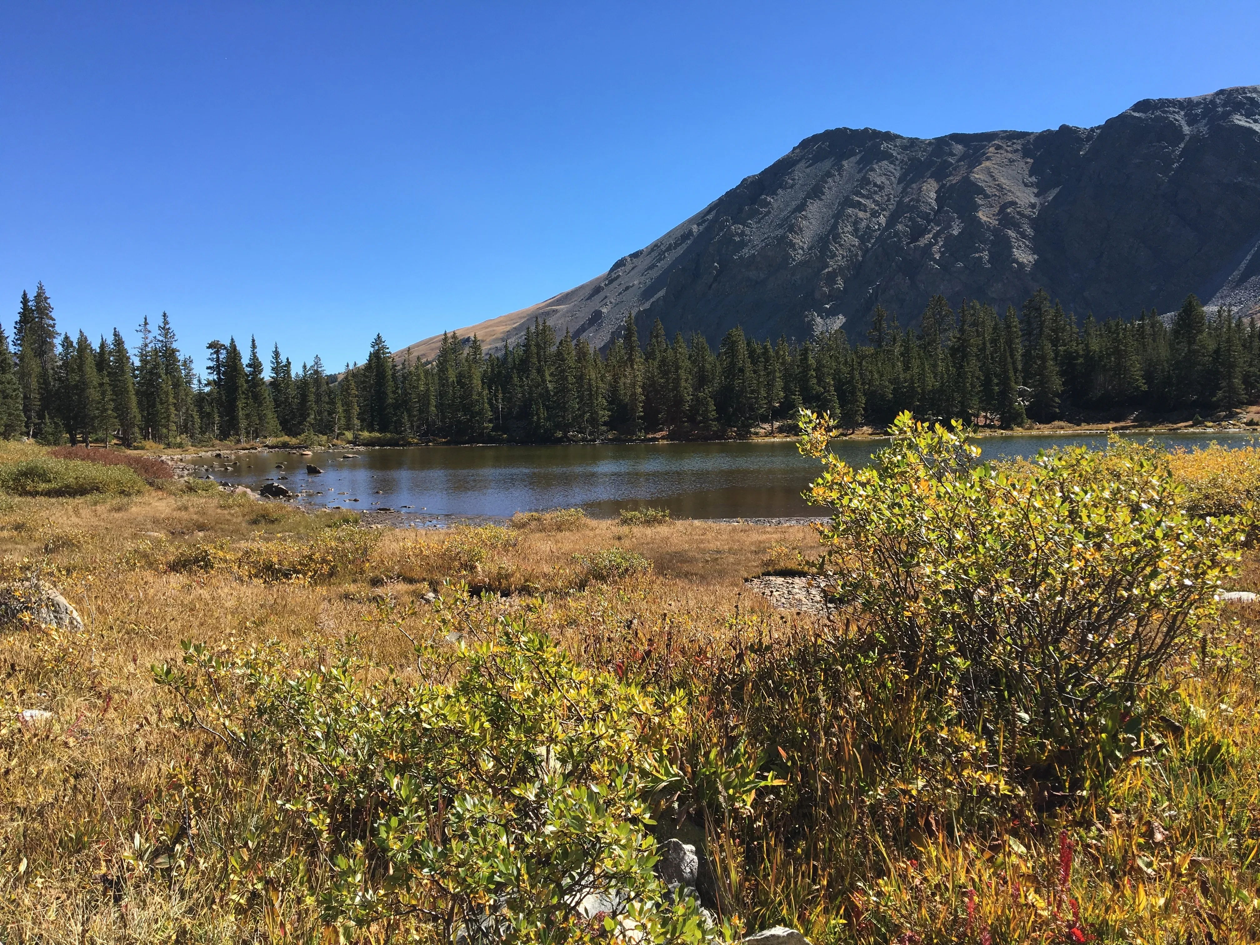 Ptarmigan Lake near Buena Vista