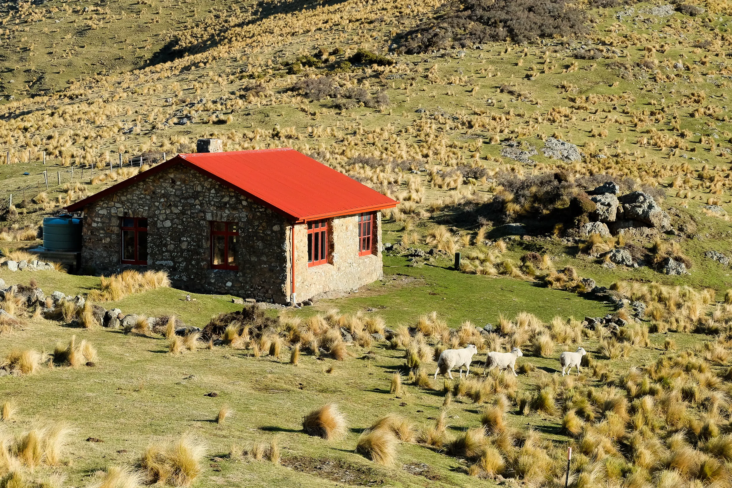 Hike to the Packhorse Hut and Mt. Bradley