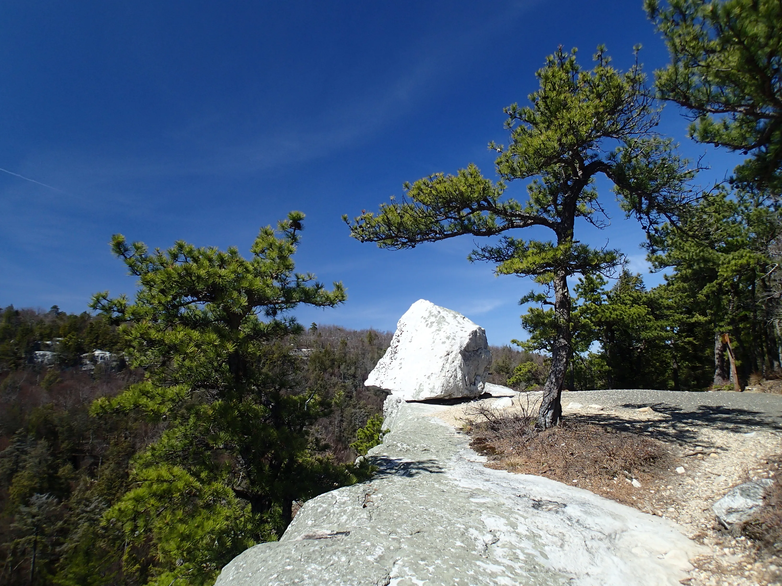 Millbrook Mountain & Gertrude Nose loop