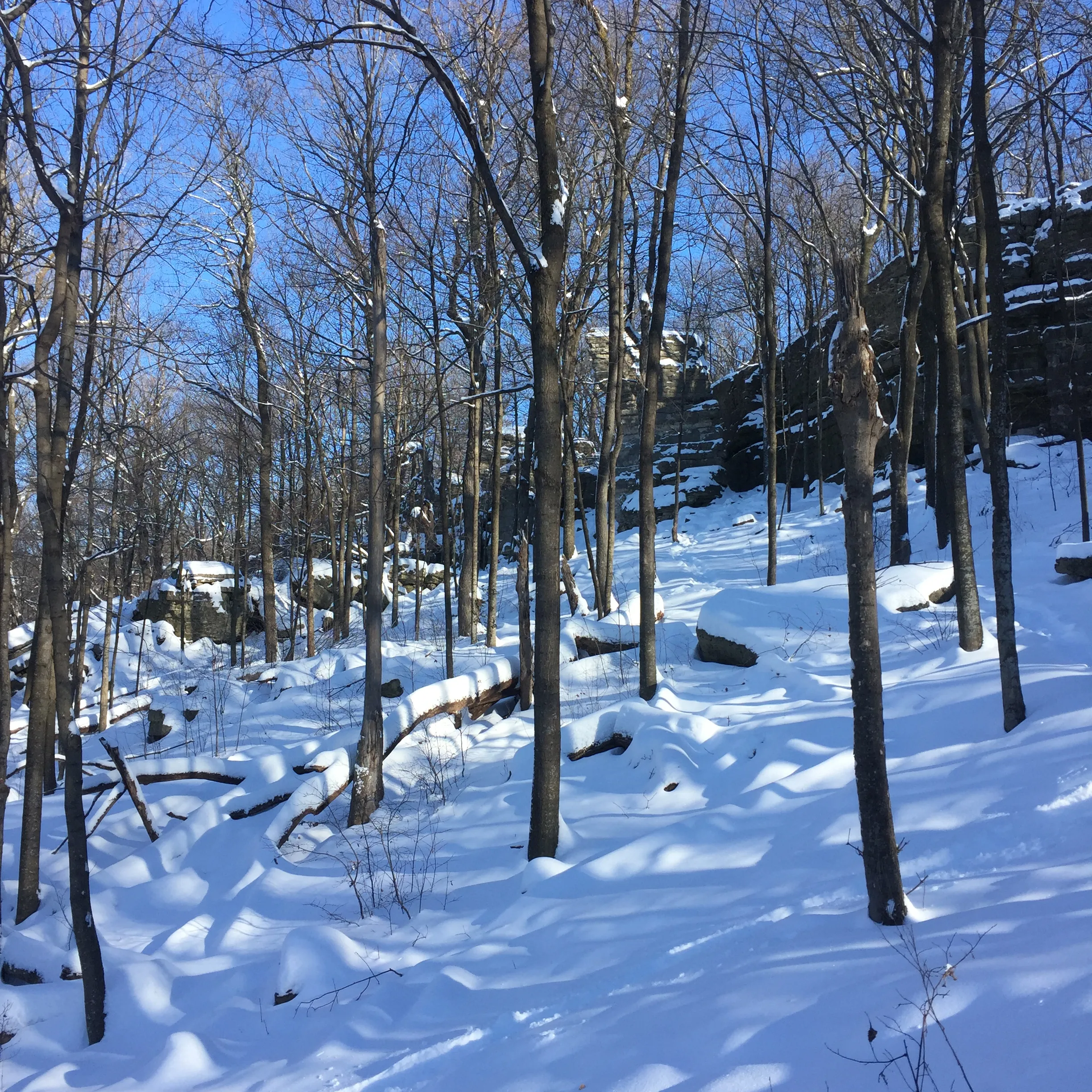 Snowshoe the Lime Kiln Trail at High Cliff