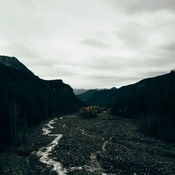 Creative Drought; Friend or Foe? 