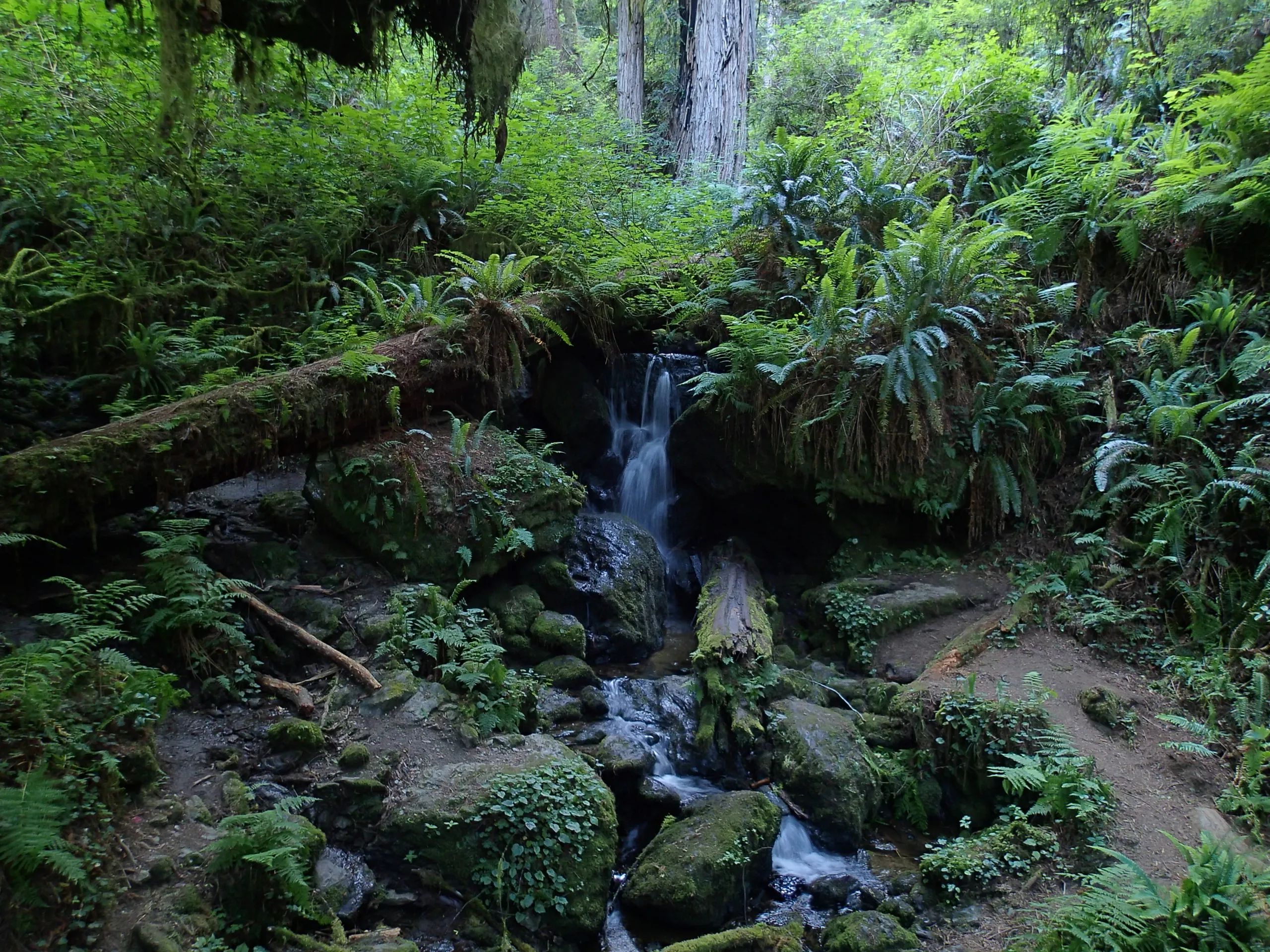 Trillium Falls