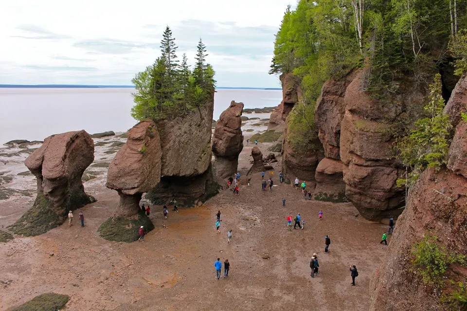 Hopewell Rocks
