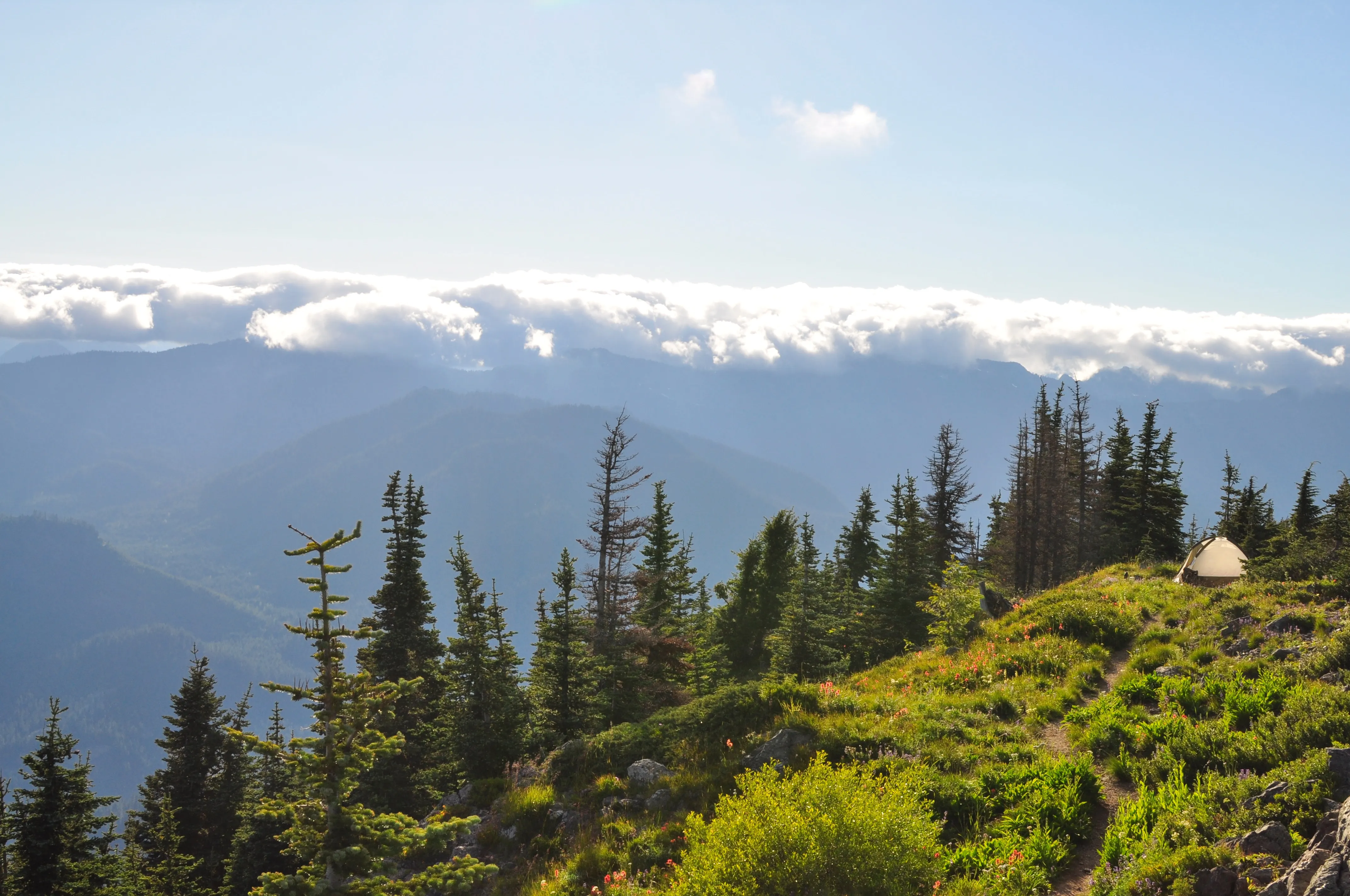 Thorp Mountain Lookout via Knox Creek Trail