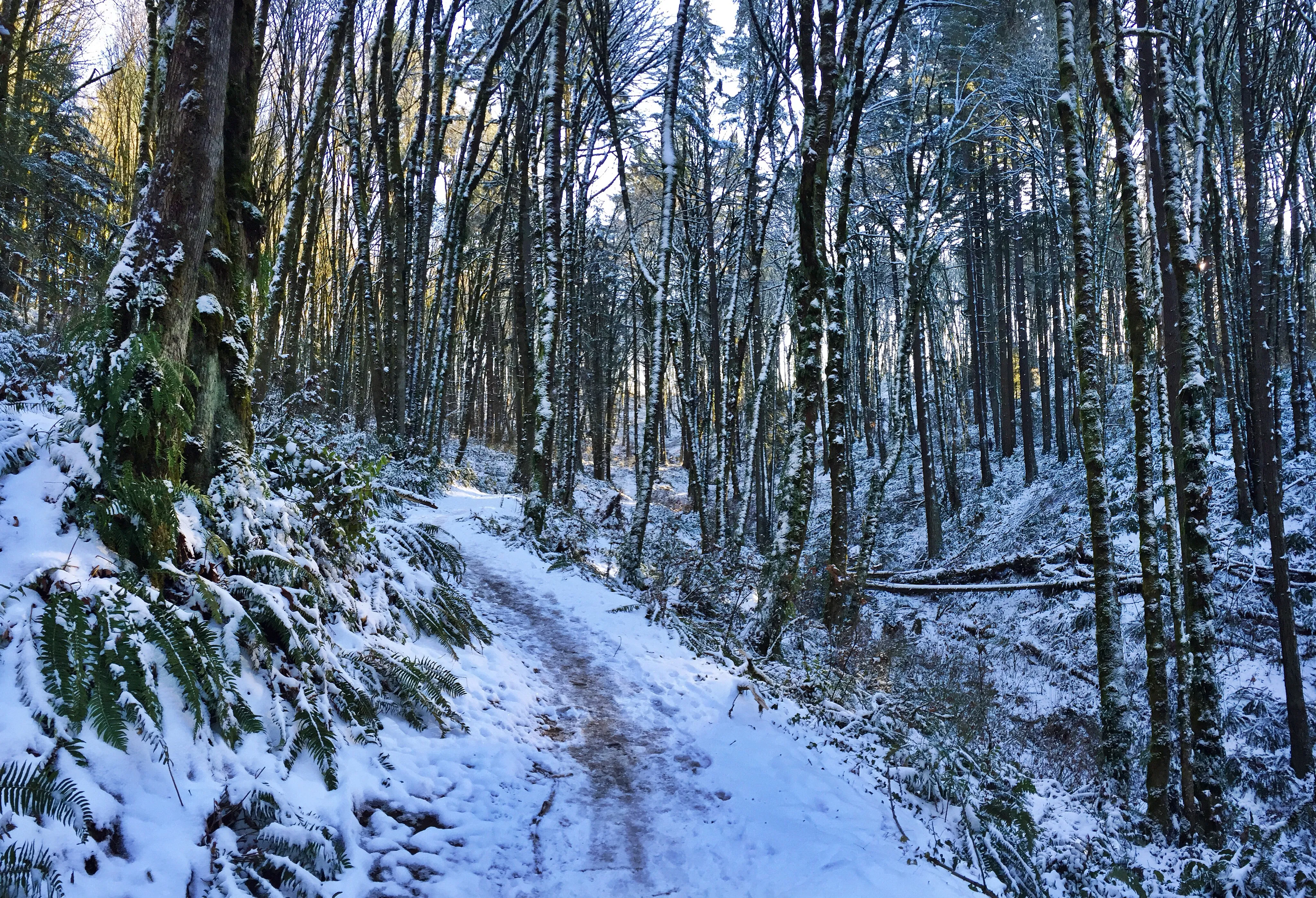 Lower Macleay Park to Pittock Mansion