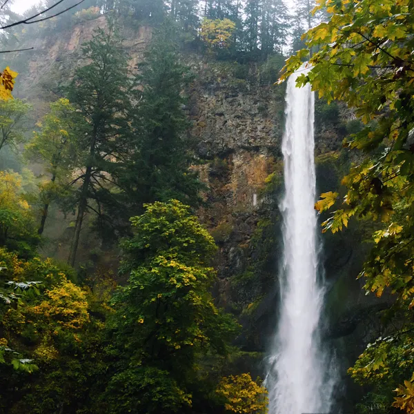 My Top Five Spots in the Columbia River Gorge