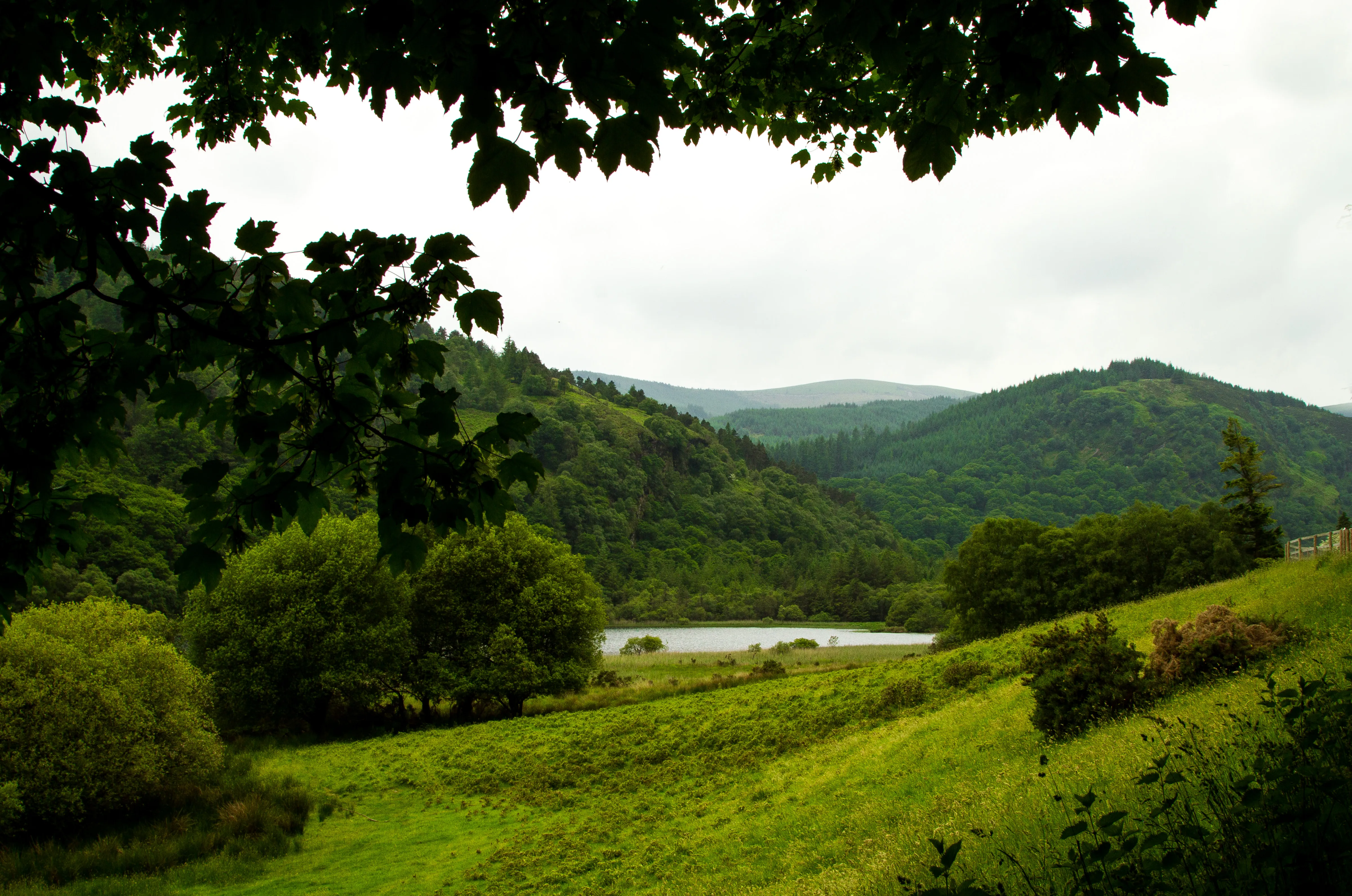 Hike to St. Kevin's Monastic Site