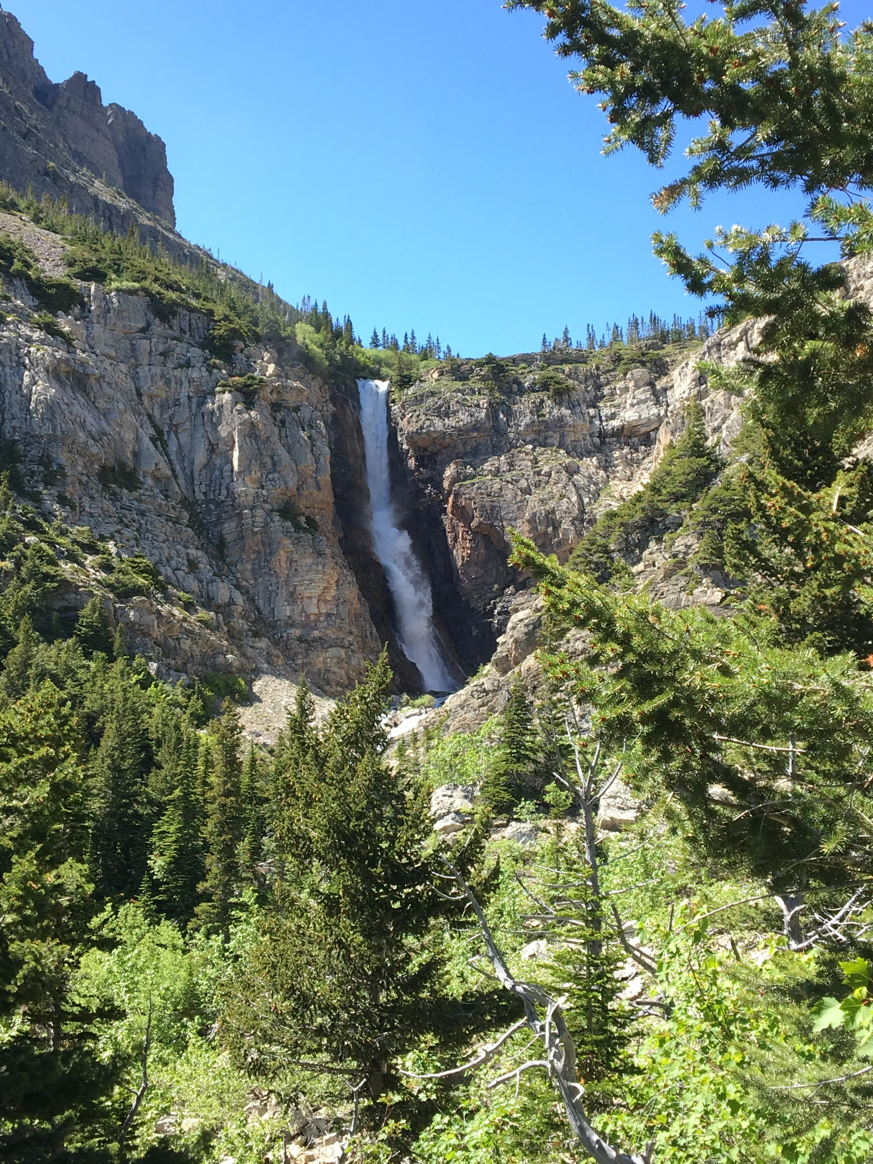 Hike to Apikuni Falls at Glacier National Park