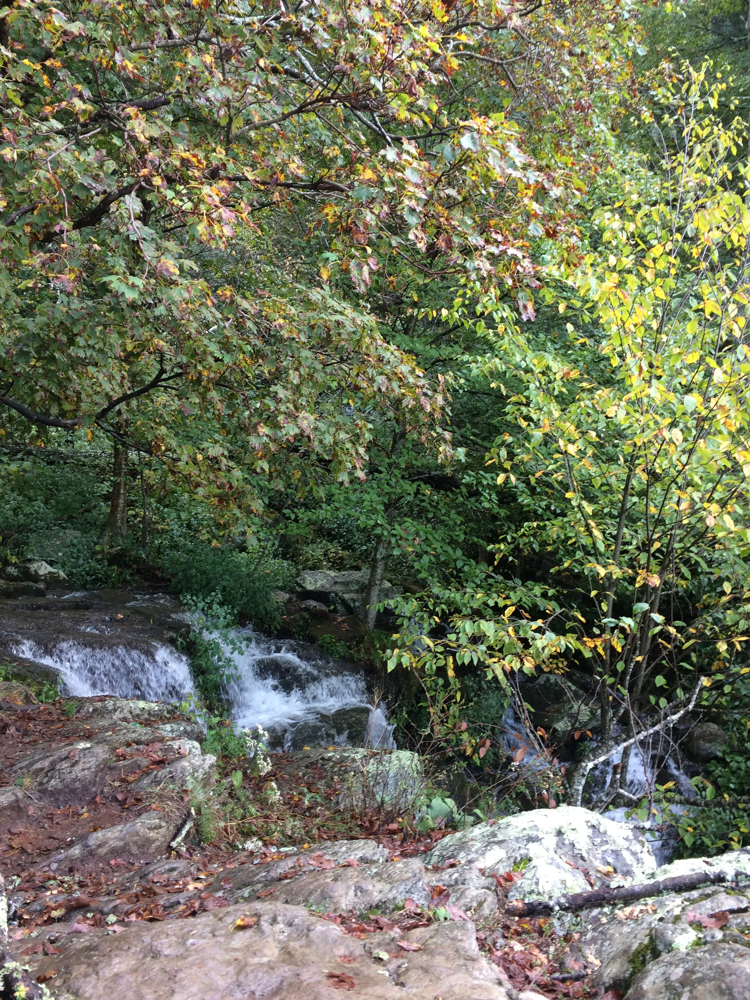 Lewis Falls via Lewis Spring