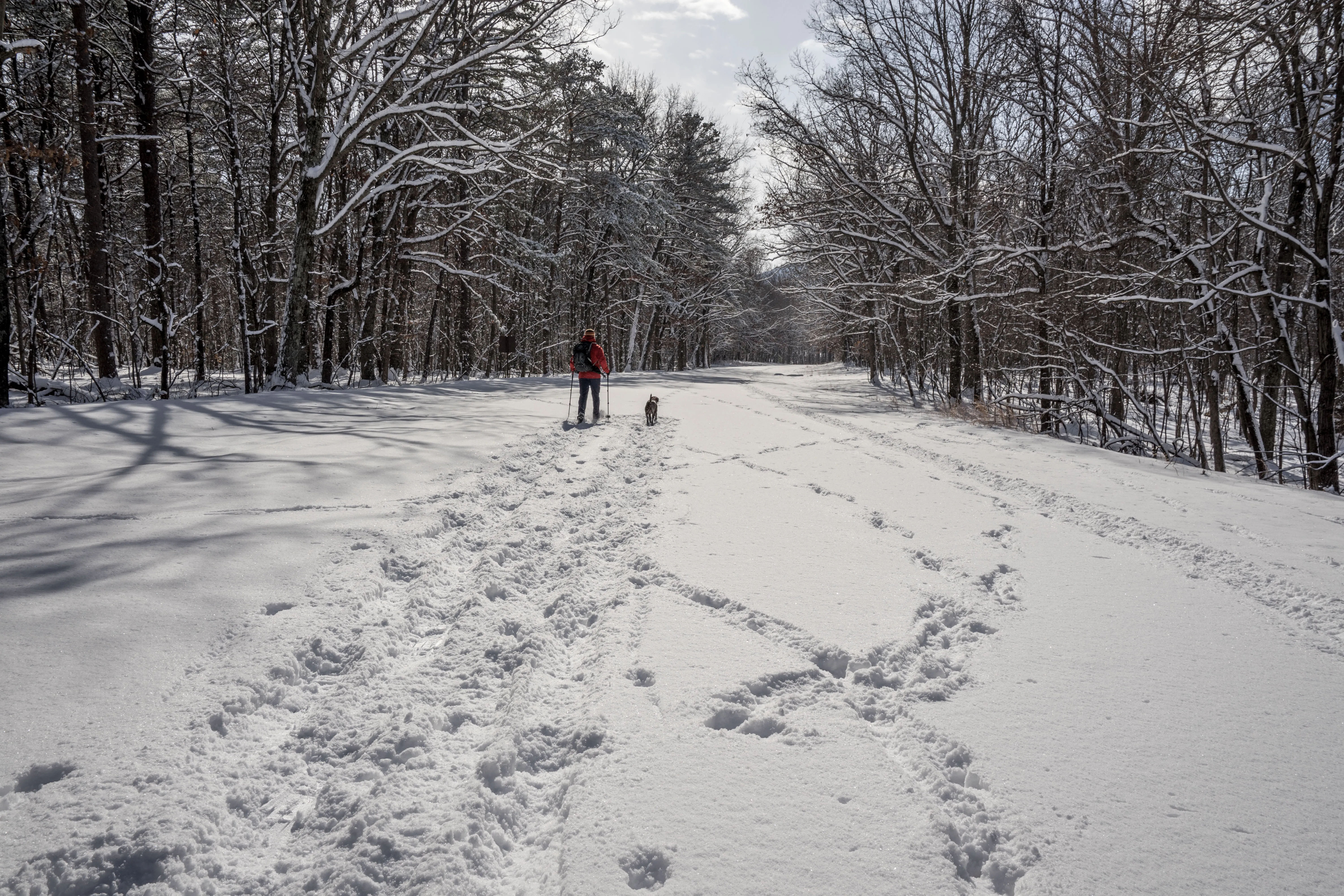 Snowshoe the Blue Ridge Parkway