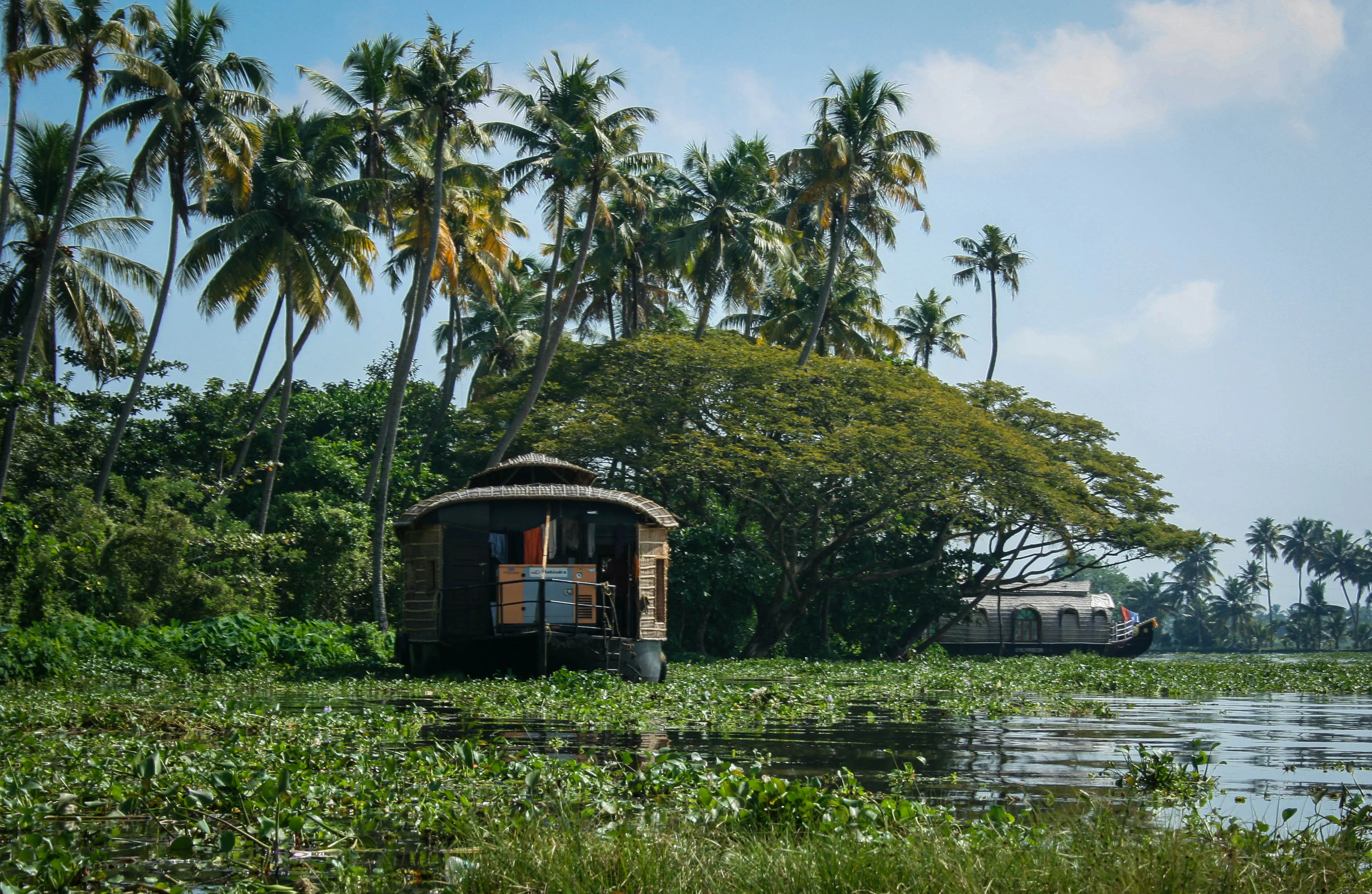 Explore the Allepey Backwaters 