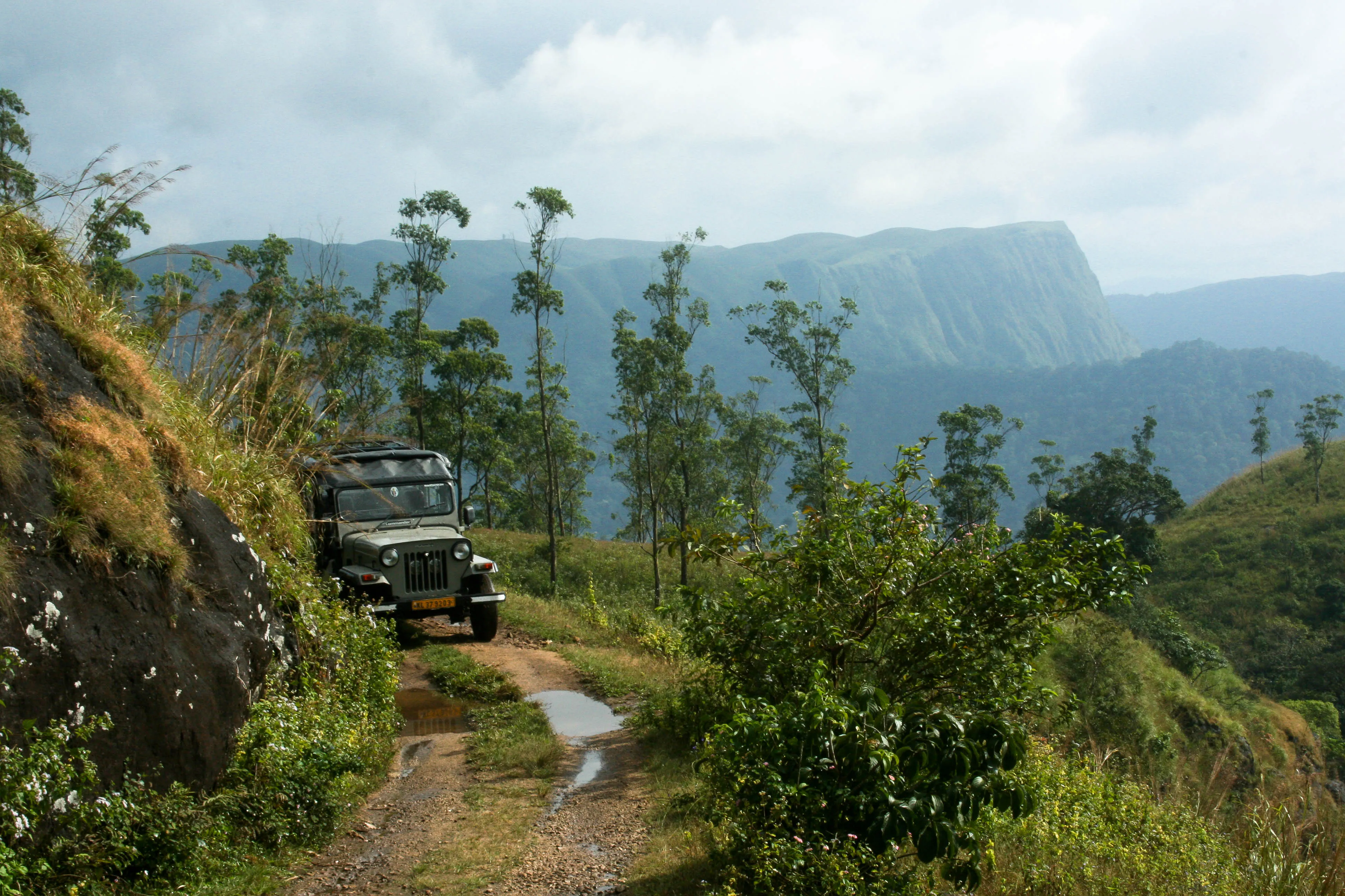 Tour the Periyar Tiger Reserve 