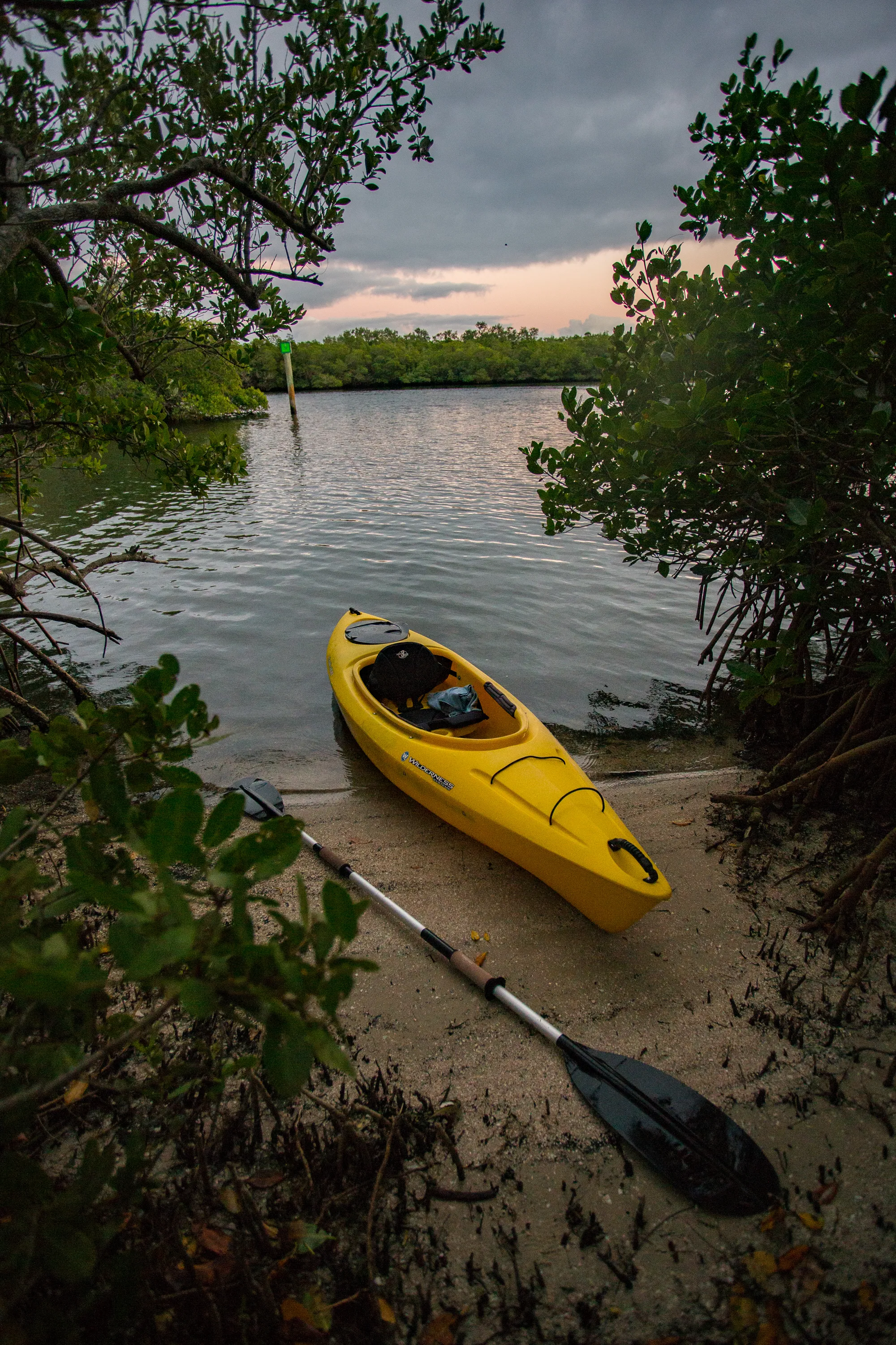 Kayak Round Island