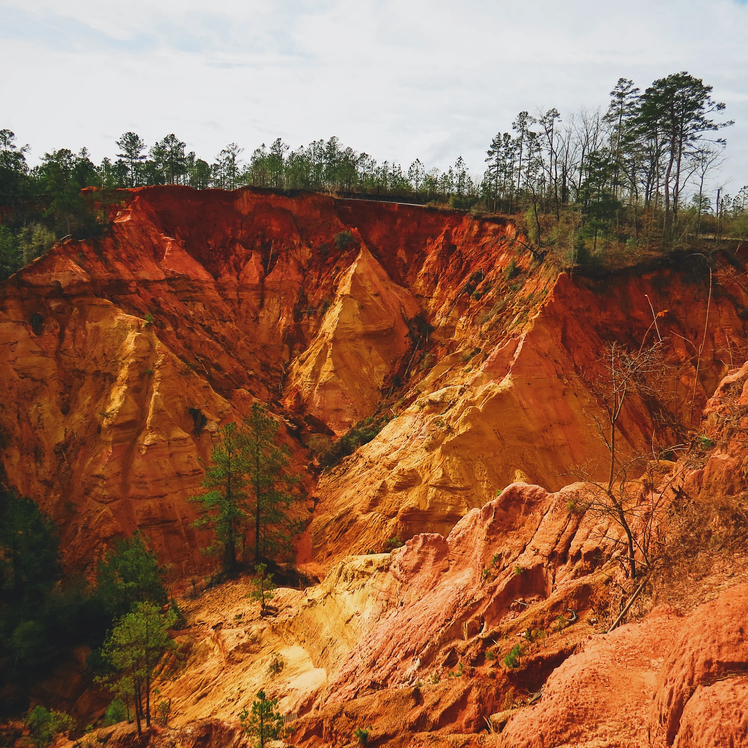 Red Bluff 