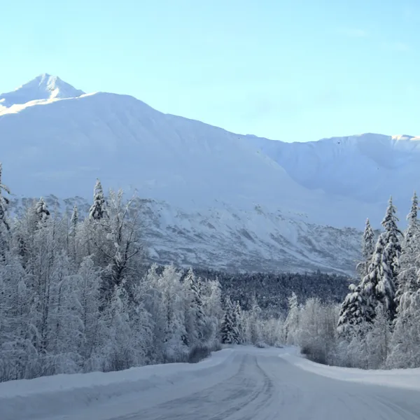 A Winter Road Trip on Yukon and Alaska's Golden Circle
