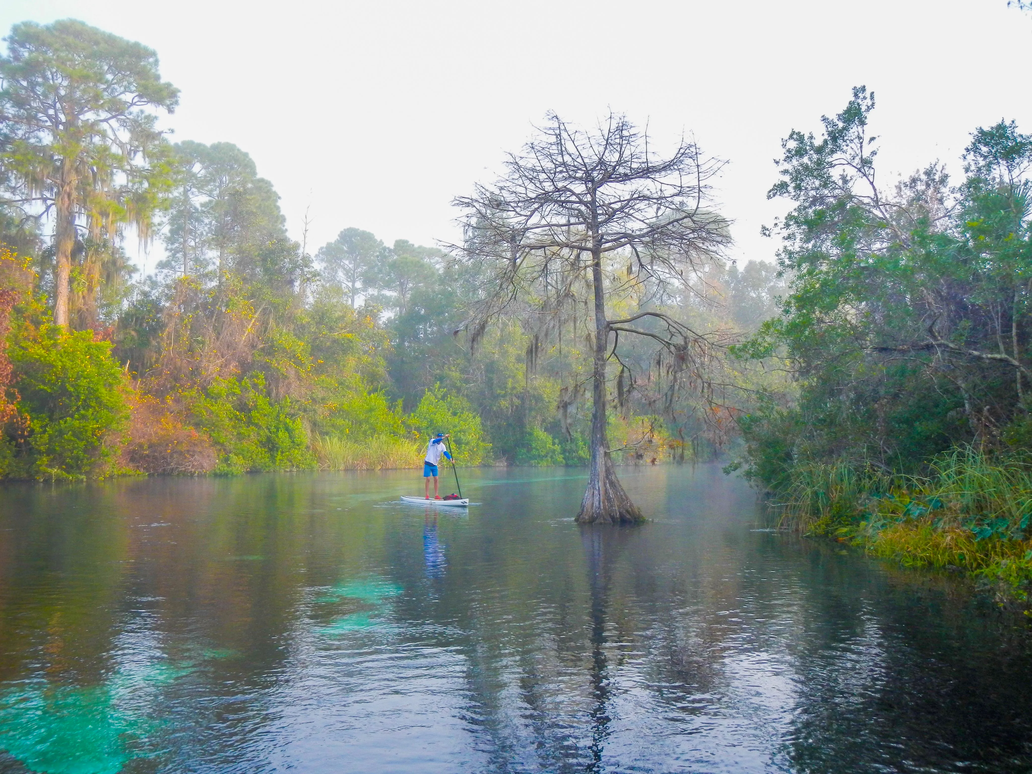 Paddle the Weeki Wachee River