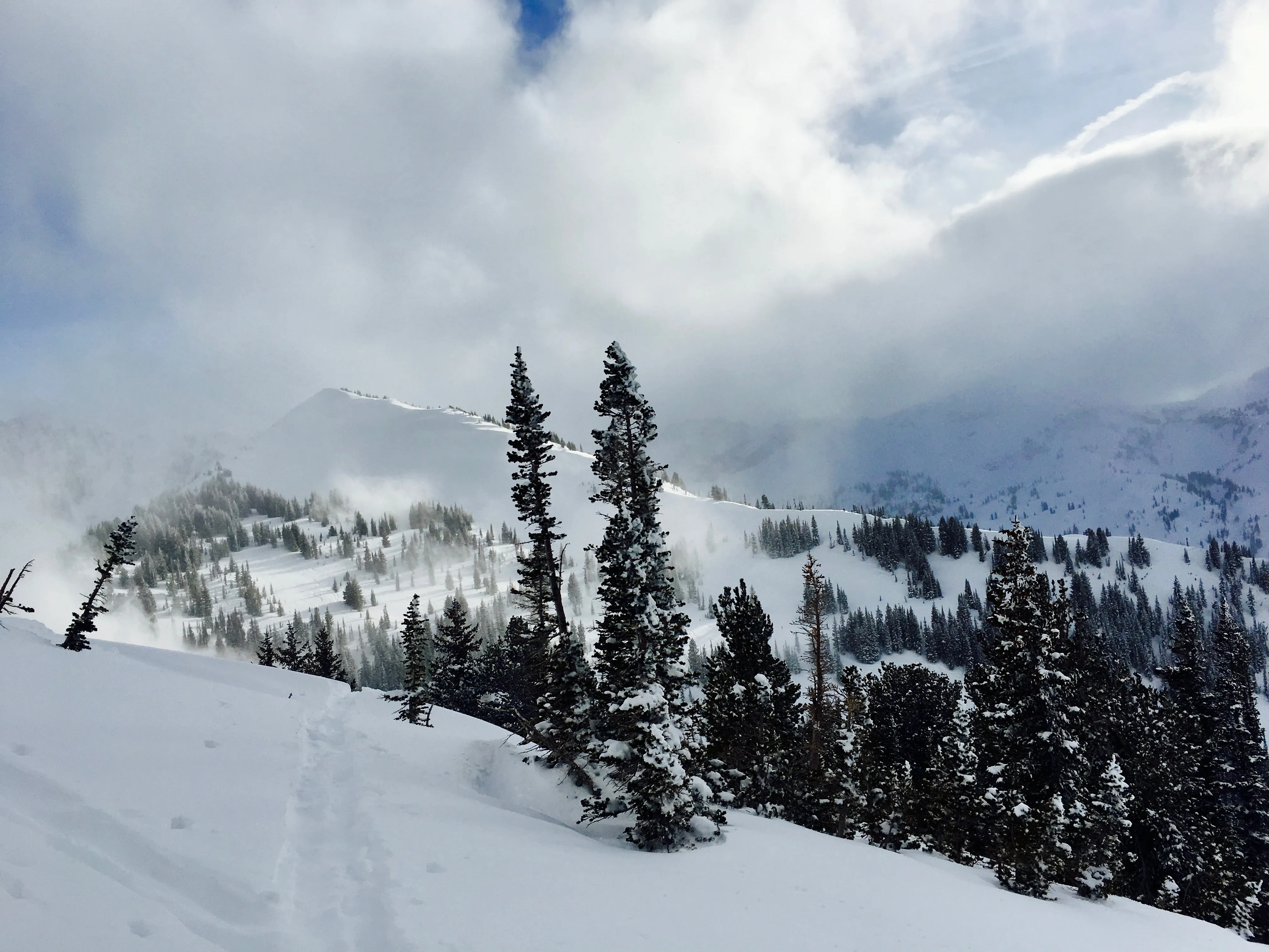 Backcountry Ski Grizzly Gulch
