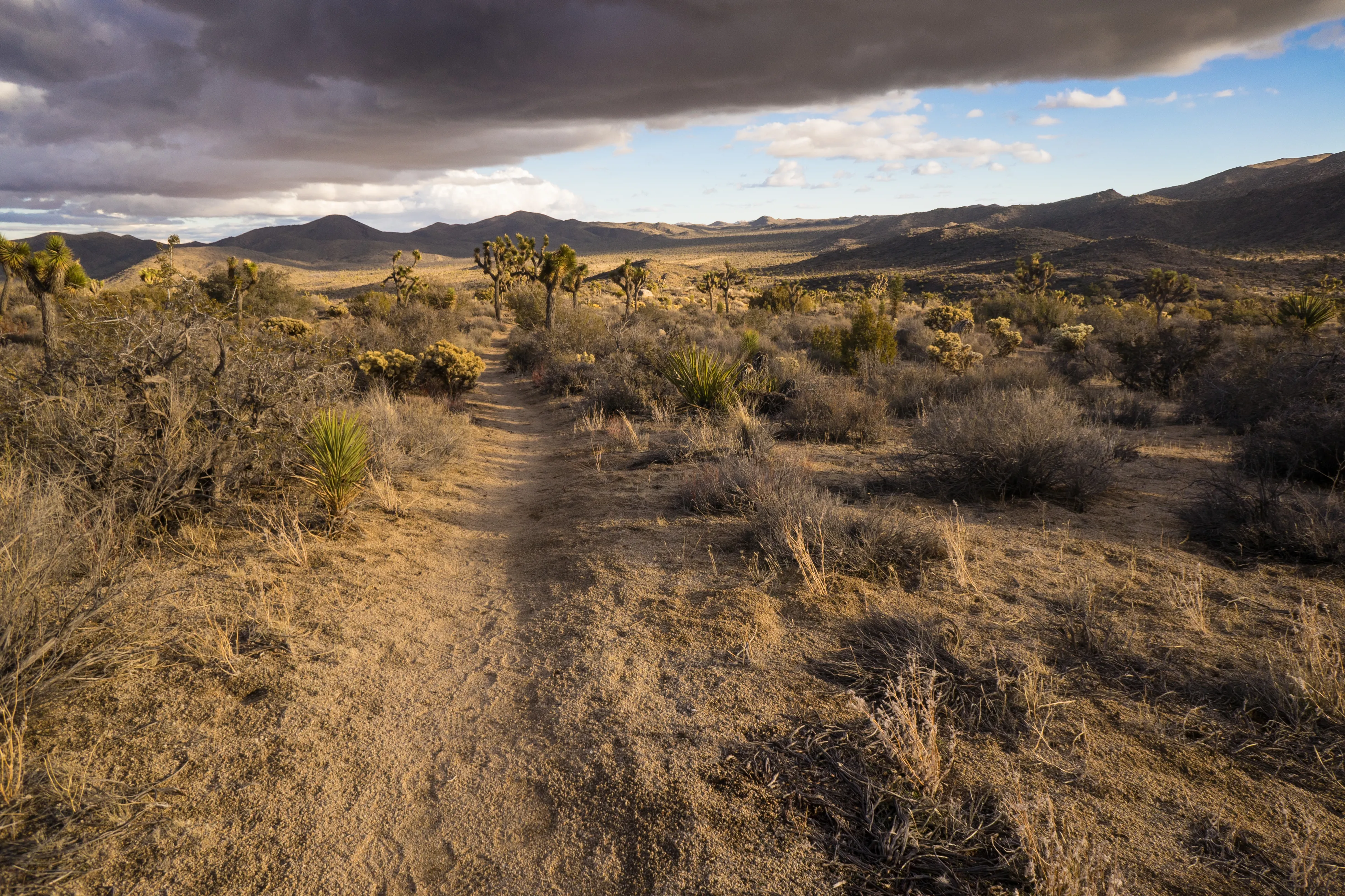 California Riding and Hiking Trail