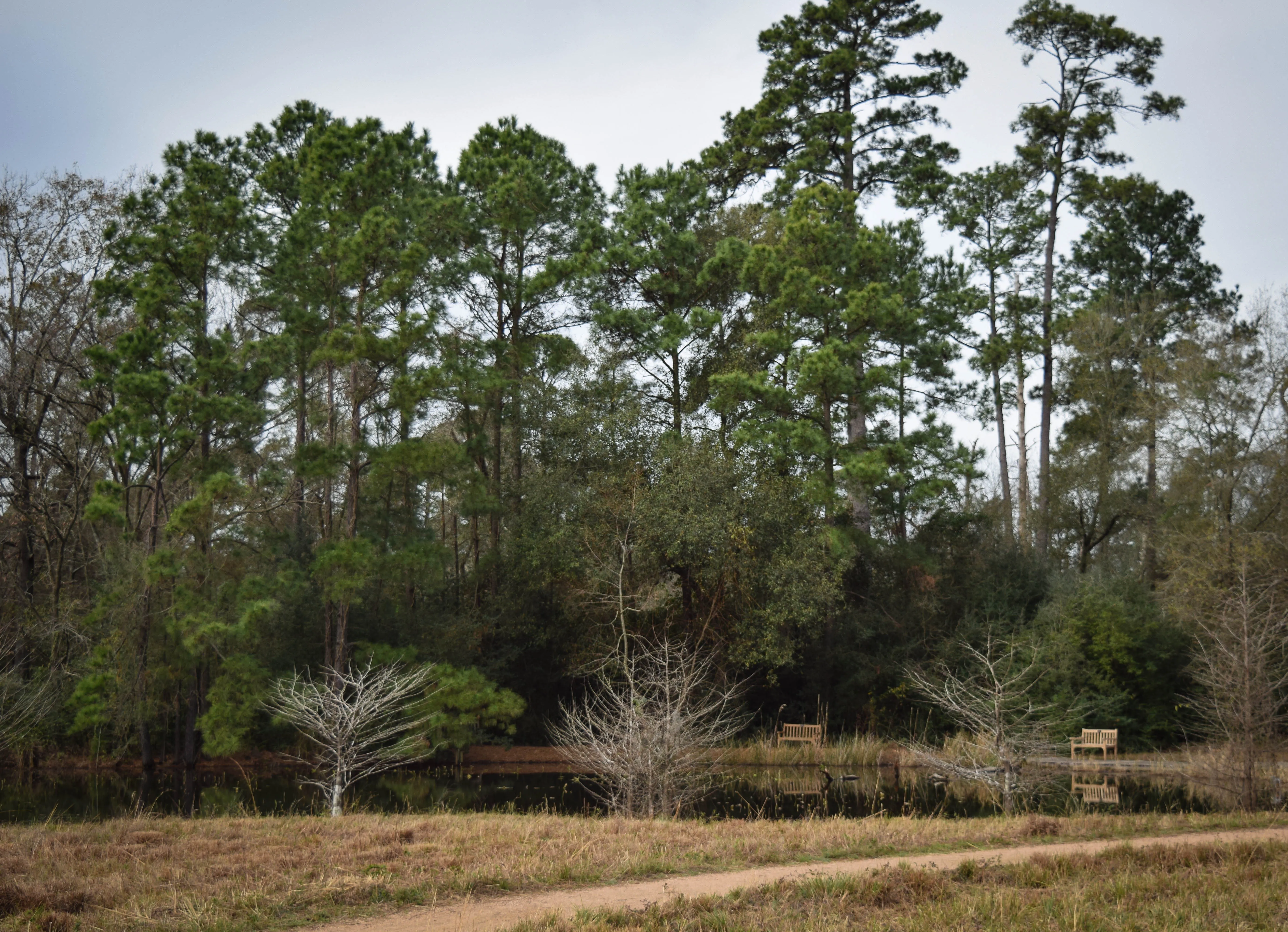 Houston Arboretum and Nature Center Outer Loop