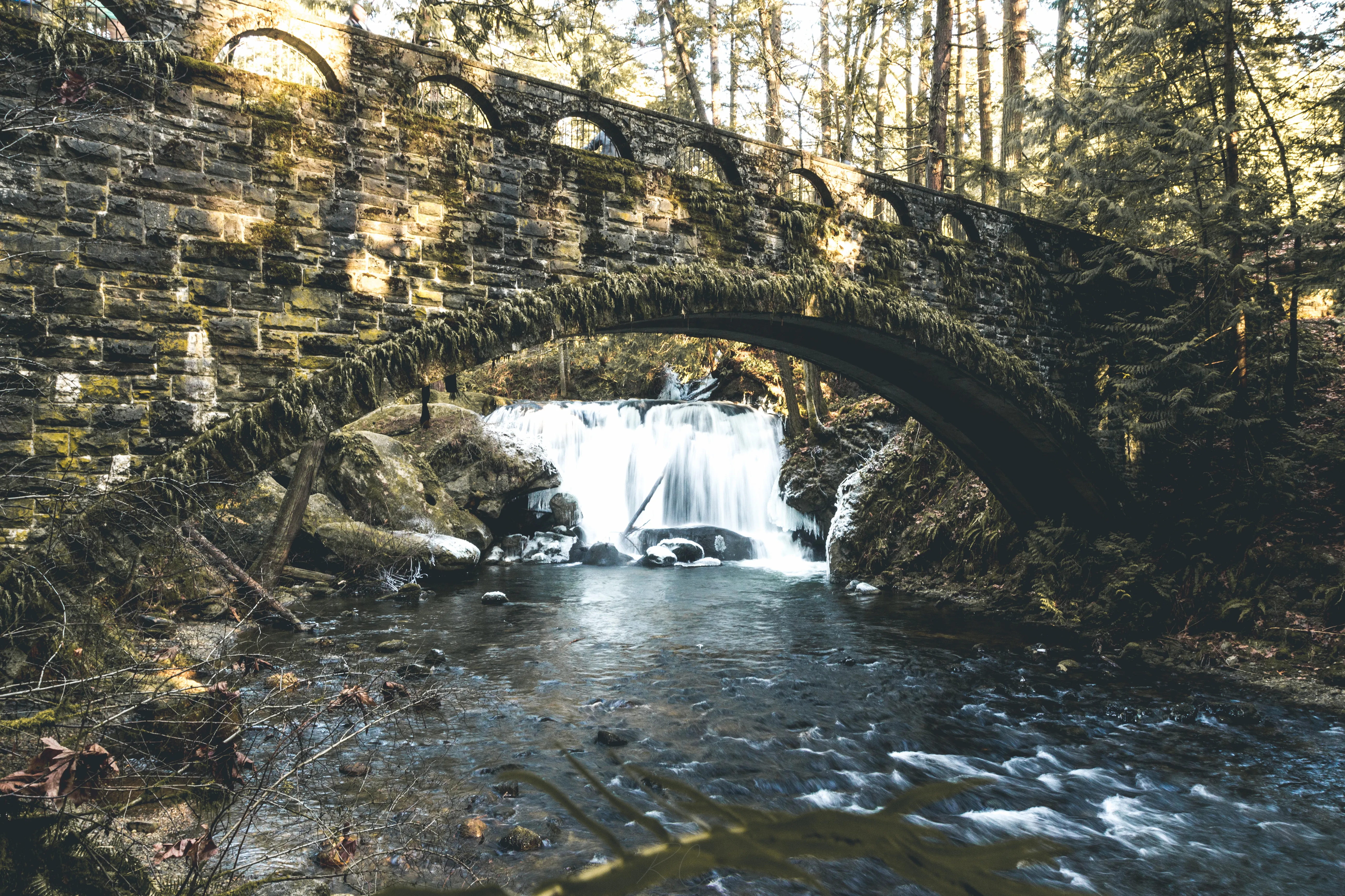 Whatcom Falls