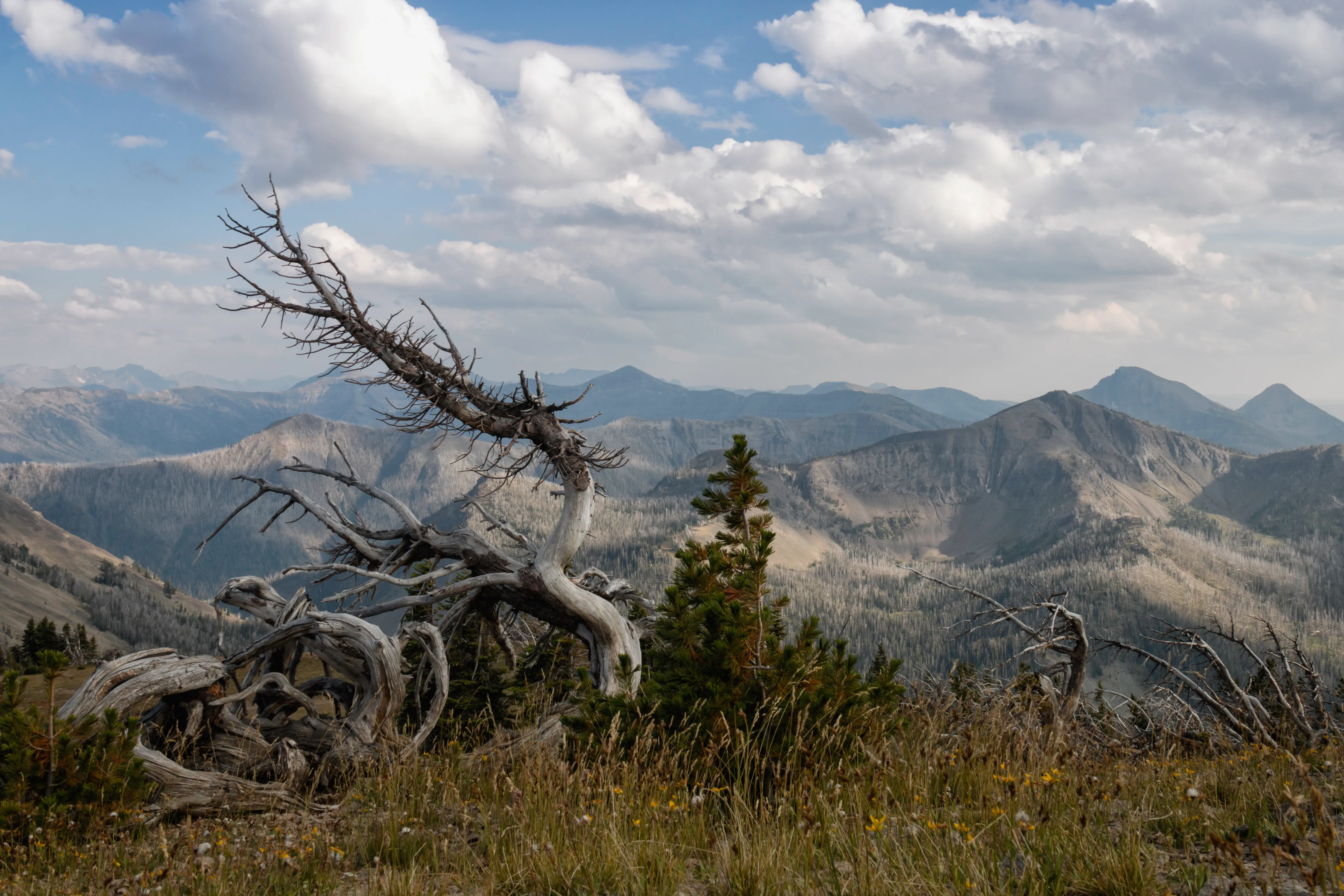 Hike to Avalanche Peak