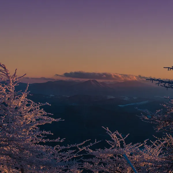 Whitetop Mountain: Virginia's Overlooked Peak That Should Be on Your Bucket List
