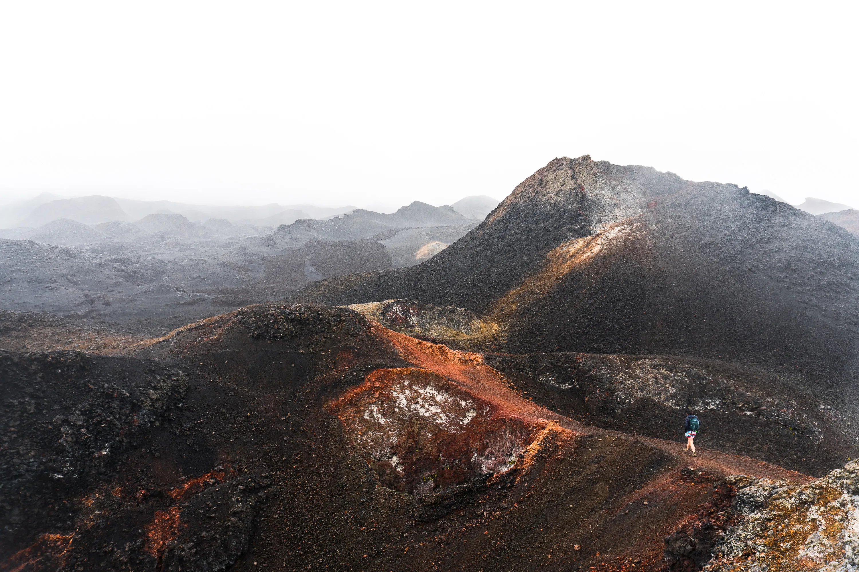 Hike Sierra Negra and Volcan Chico