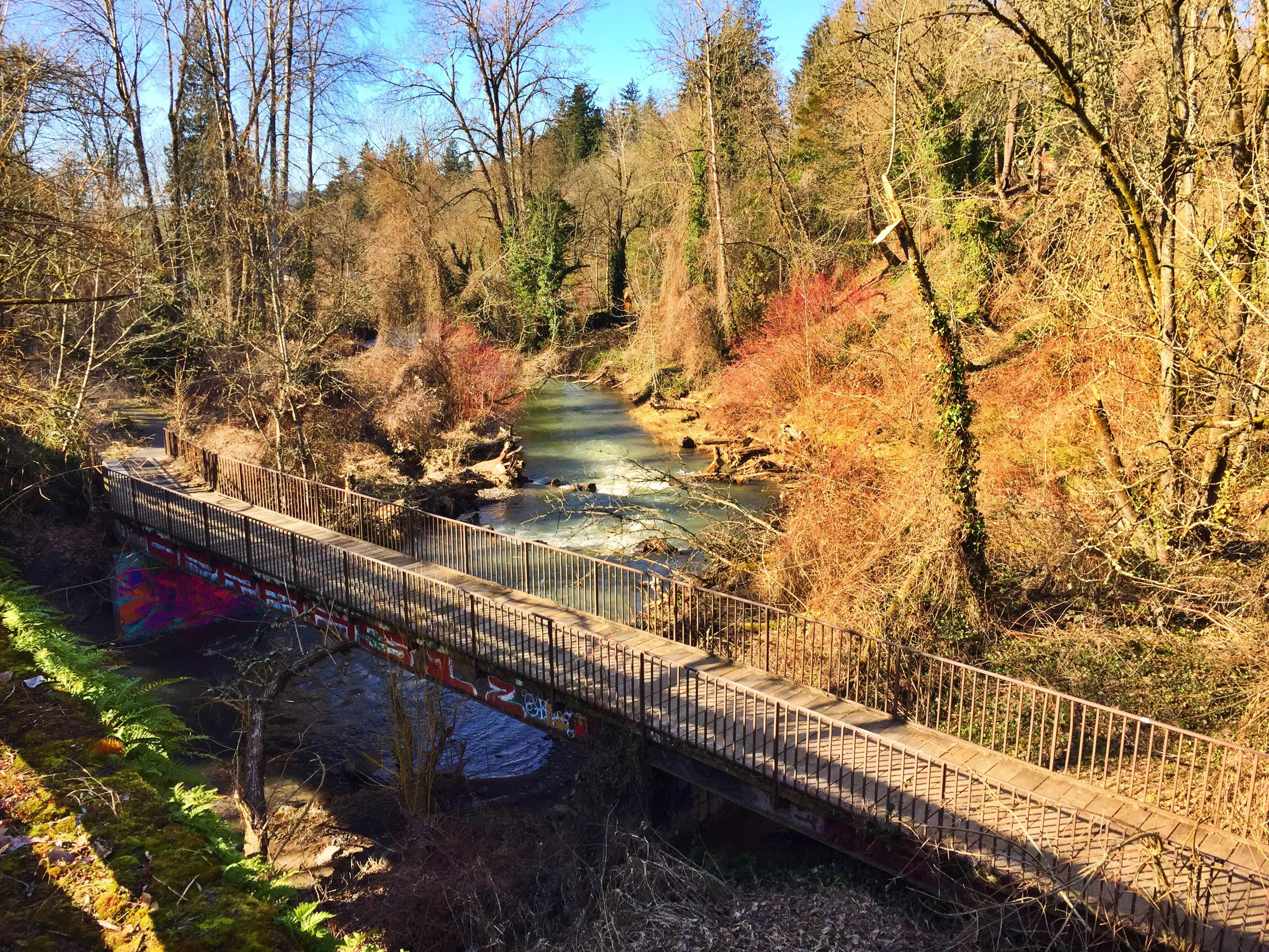 Run Springwater Corridor Trail