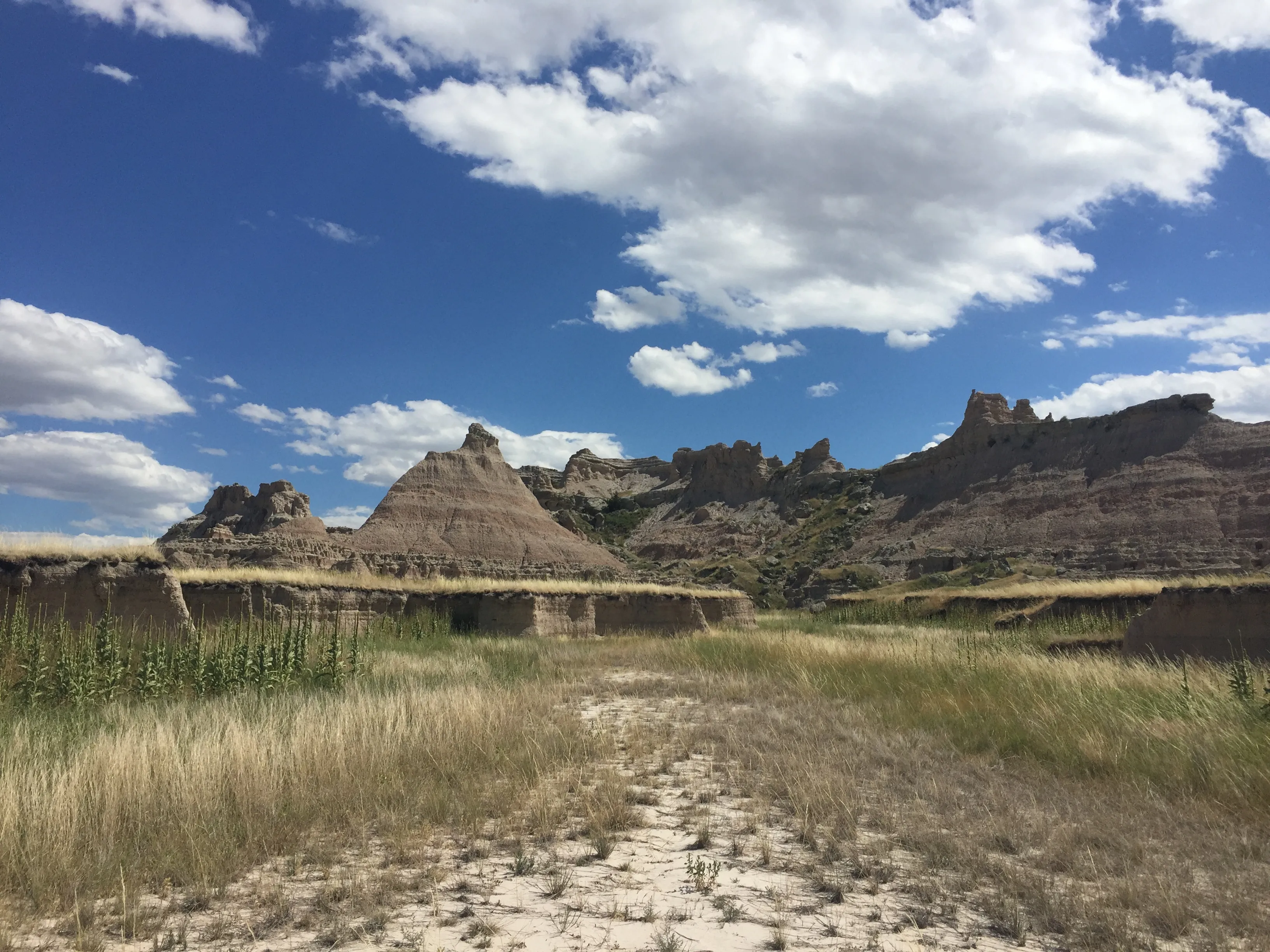 Castle & Medicine Root Trail Loop