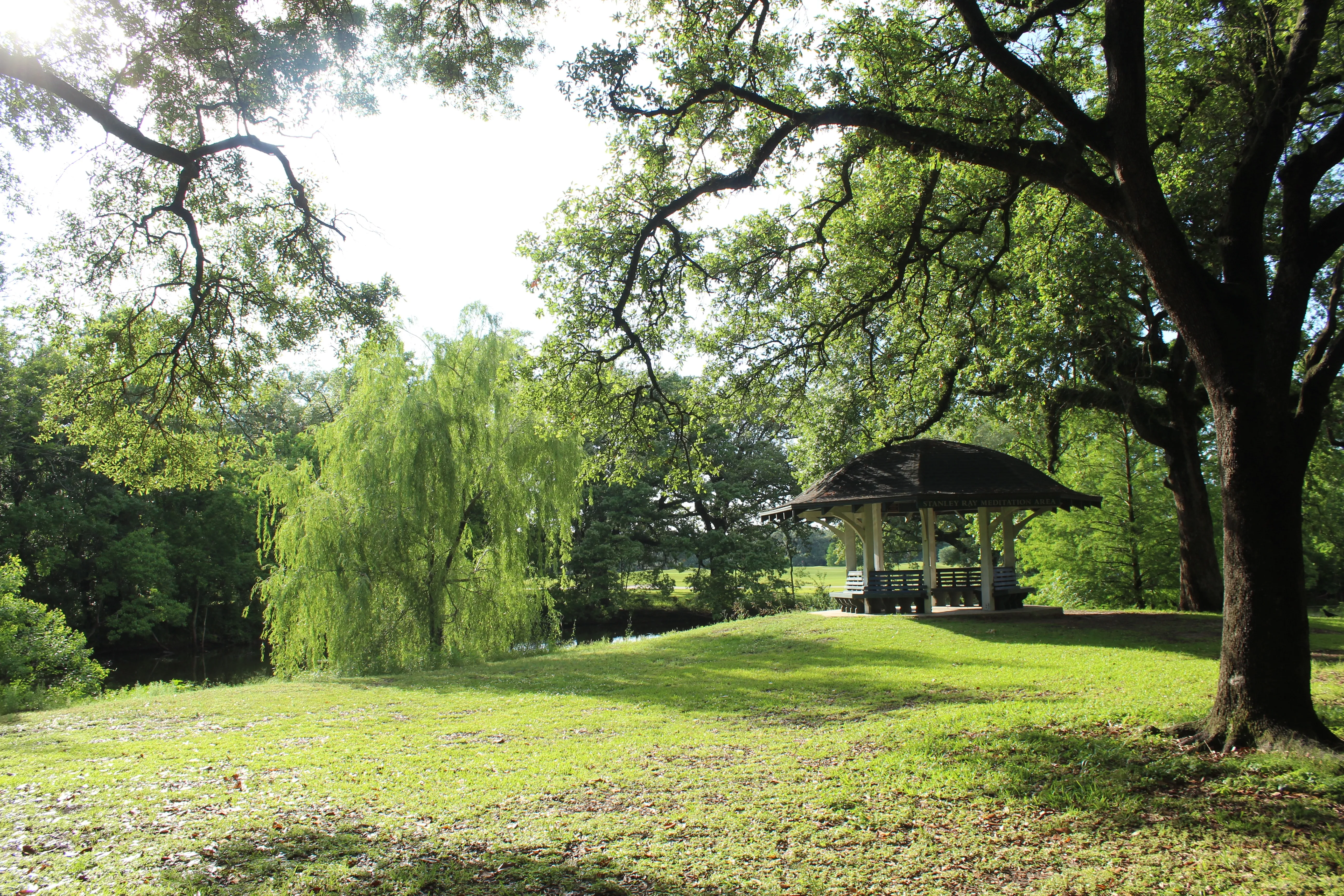 Run The Audubon Park Trail in New Orleans