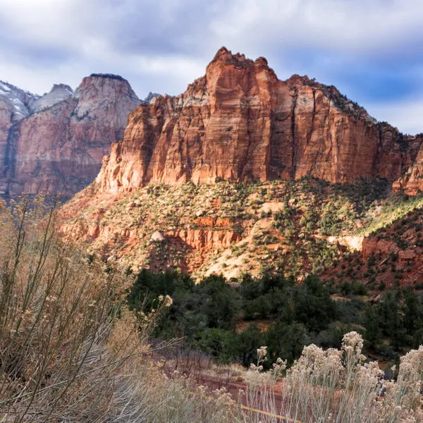 An Amateur Dirtbag’s Guide to Exploring Zion in the Winter